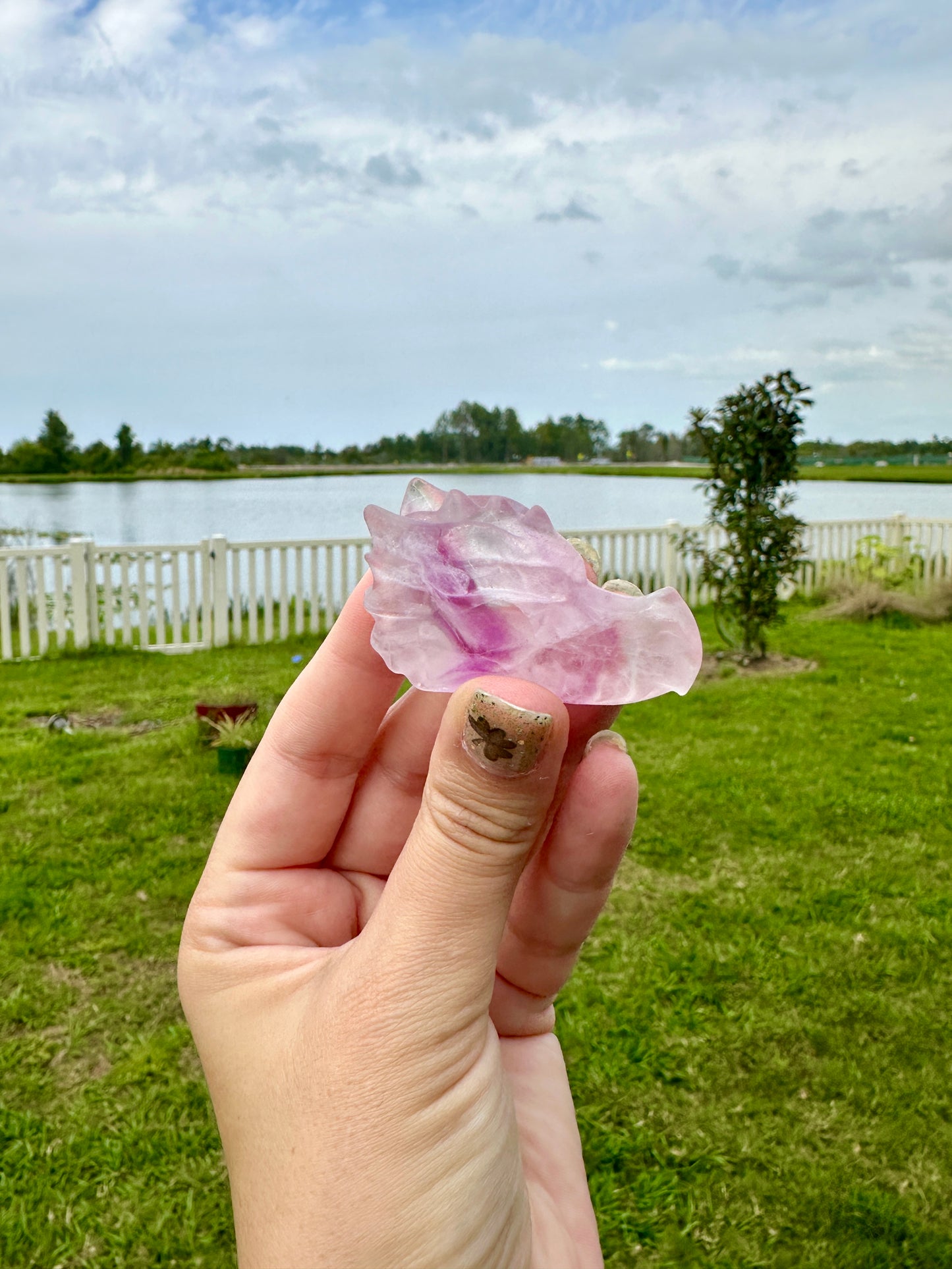 Fluorite Dragon Head Carving - Mystical Crystal Dragon Sculpture, Handcrafted Gemstone Decor for Energy and Inspiration