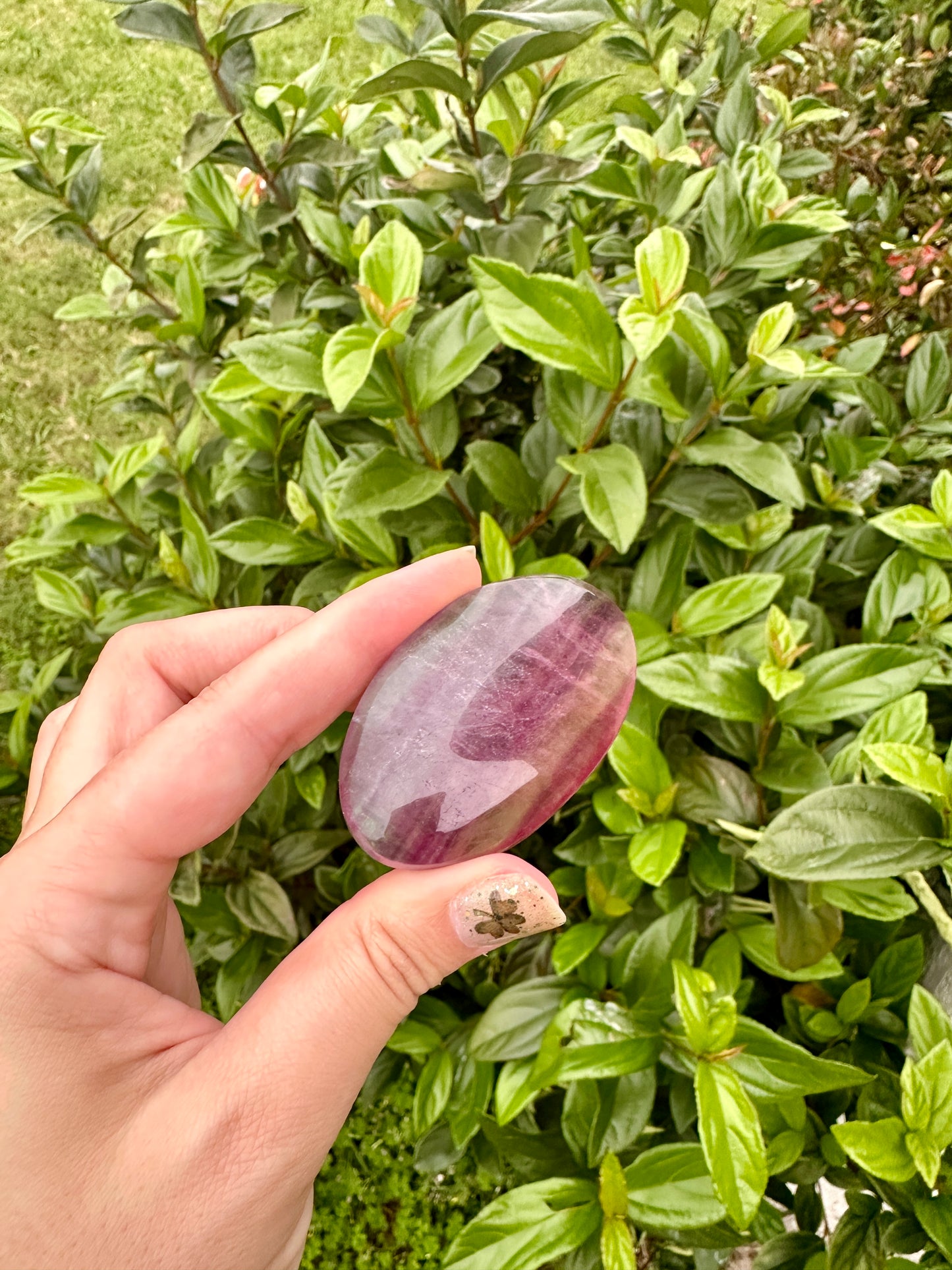 Exquisite Fluorite Palm Stone for Clarity and Protection, Enhance Focus with Vibrant Fluorite, Beautiful Gift for Mindfulness and Healing