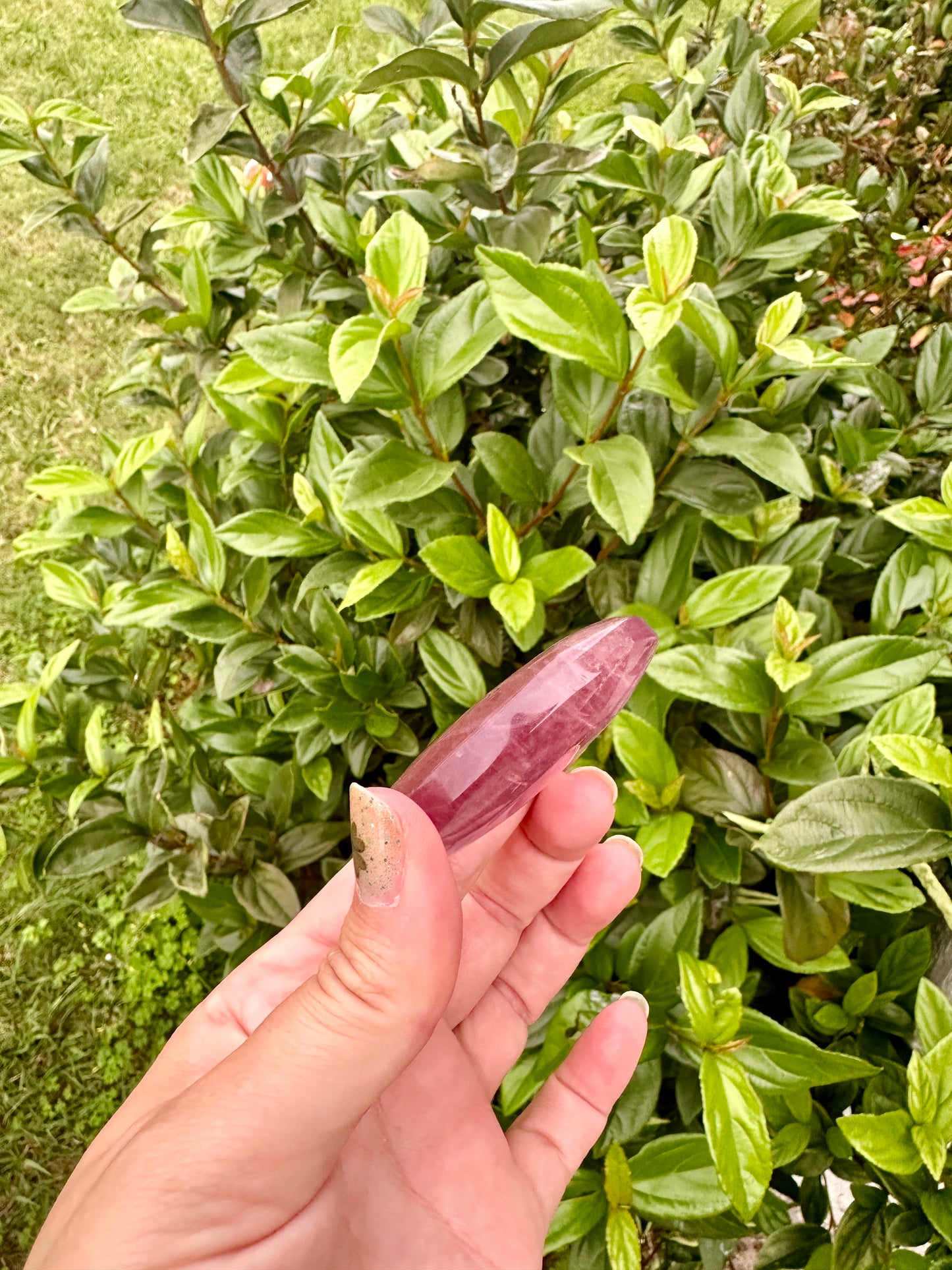 Exquisite Fluorite Palm Stone for Clarity and Protection, Enhance Focus with Vibrant Fluorite, Beautiful Gift for Mindfulness and Healing
