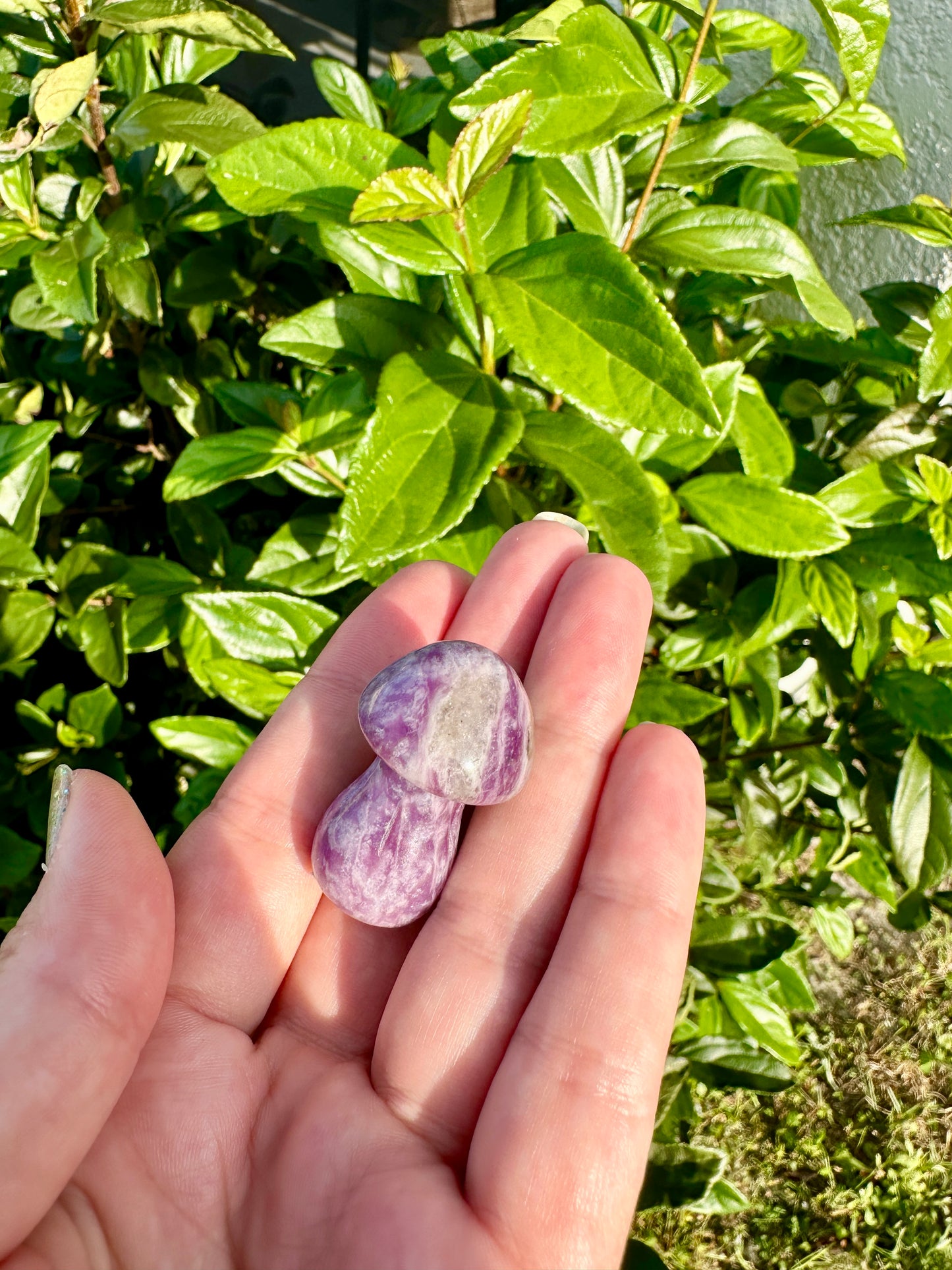 Lepidolite Mushroom Carving - Soothing Crystal Decor for Peaceful Ambiance in Home and Wellness Spaces