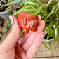 Red Jasper Pig Carving for Home Decor | Natural Stone Healing Crystal | Pig Figurine Sculpture | Spiritual Animal Totem Gift