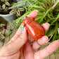 Red Jasper Pig Carving for Home Decor | Natural Stone Healing Crystal | Pig Figurine Sculpture | Spiritual Animal Totem Gift