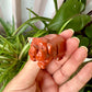 Red Jasper Pig Carving for Home Decor | Natural Stone Healing Crystal | Pig Figurine Sculpture | Spiritual Animal Totem Gift