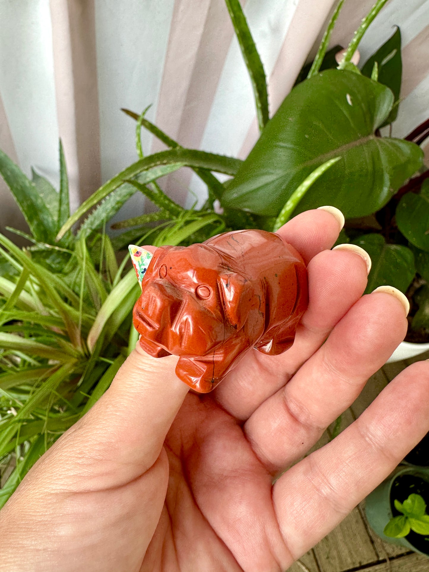 Red Jasper Pig Carving for Home Decor | Natural Stone Healing Crystal | Pig Figurine Sculpture | Spiritual Animal Totem Gift