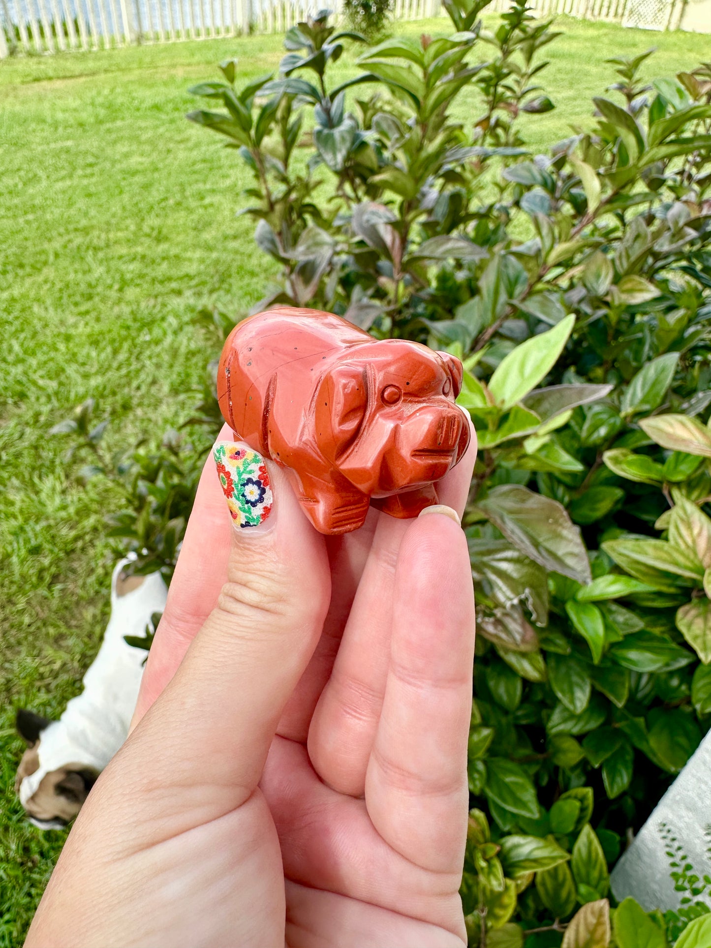 Red Jasper Pig Carving for Home Decor | Natural Stone Healing Crystal | Pig Figurine Sculpture | Spiritual Animal Totem Gift