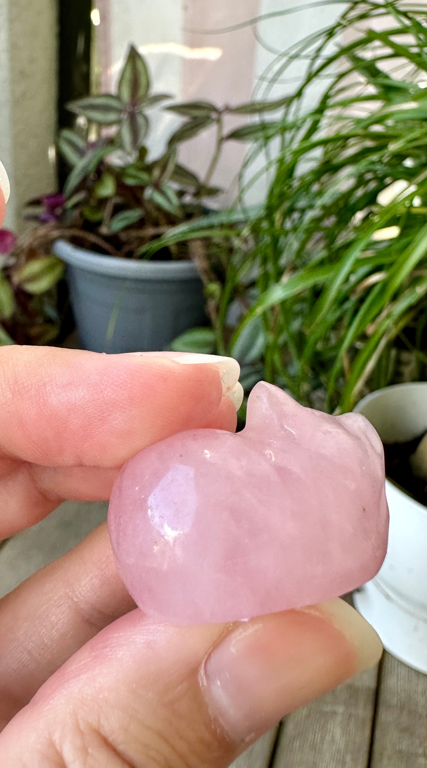 Rose Quartz Sleeping Cat Carving for Home Decor | Natural Stone Healing Crystal Figurine | Spiritual Animal Totem Gift