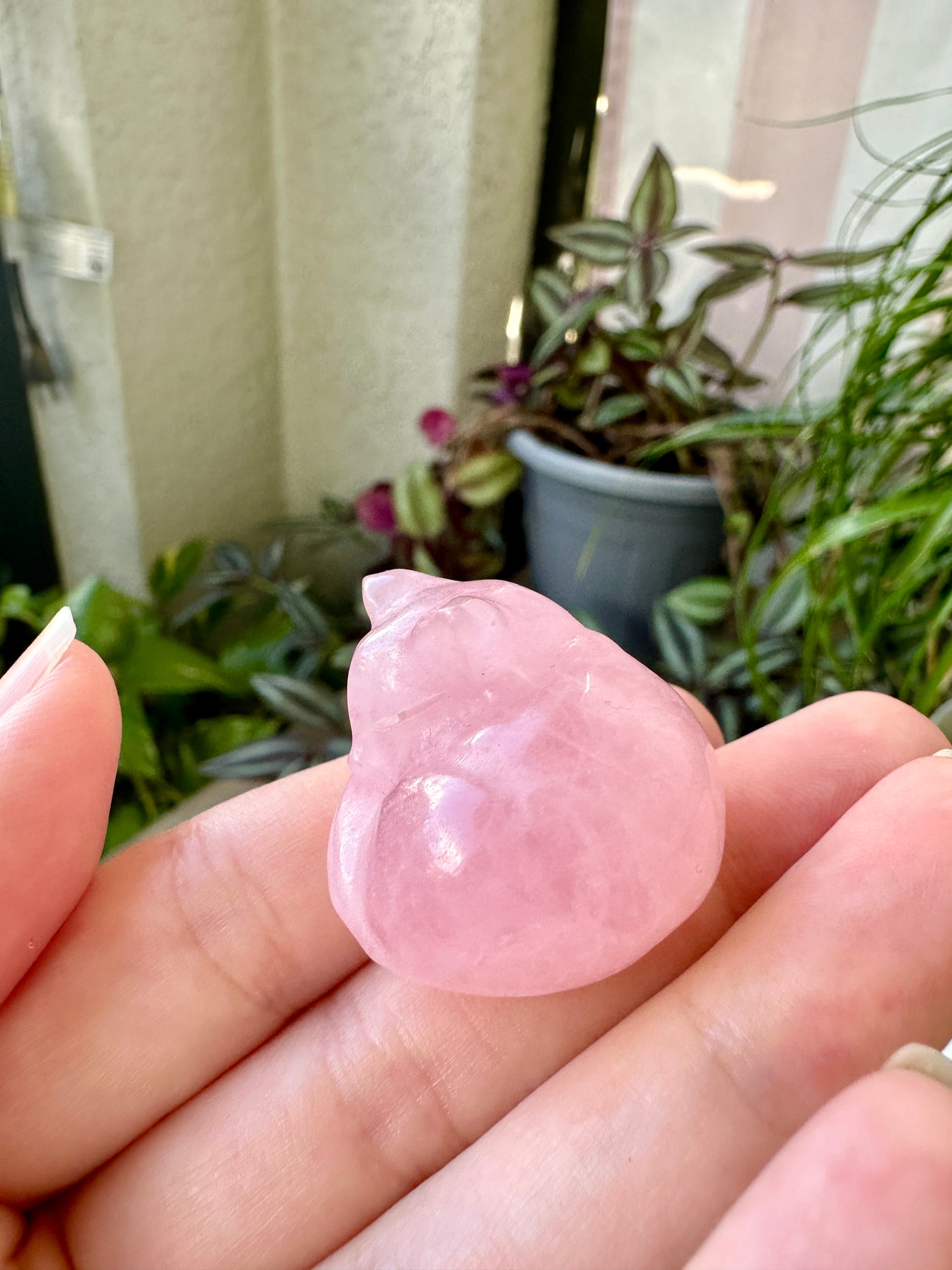 Rose Quartz Sleeping Cat Carving for Home Decor | Natural Stone Healing Crystal Figurine | Spiritual Animal Totem Gift