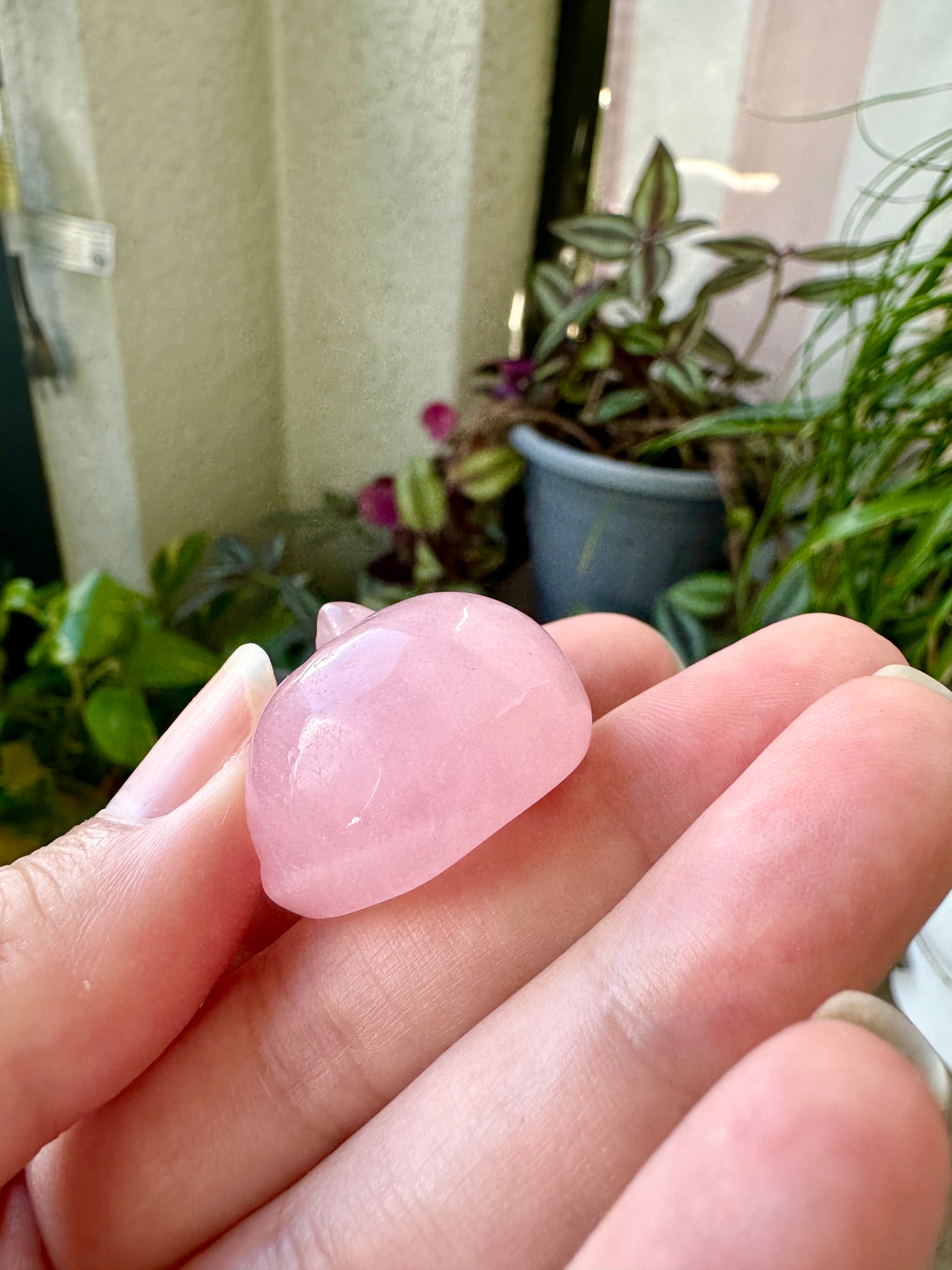 Rose Quartz Sleeping Cat Carving for Home Decor | Natural Stone Healing Crystal Figurine | Spiritual Animal Totem Gift