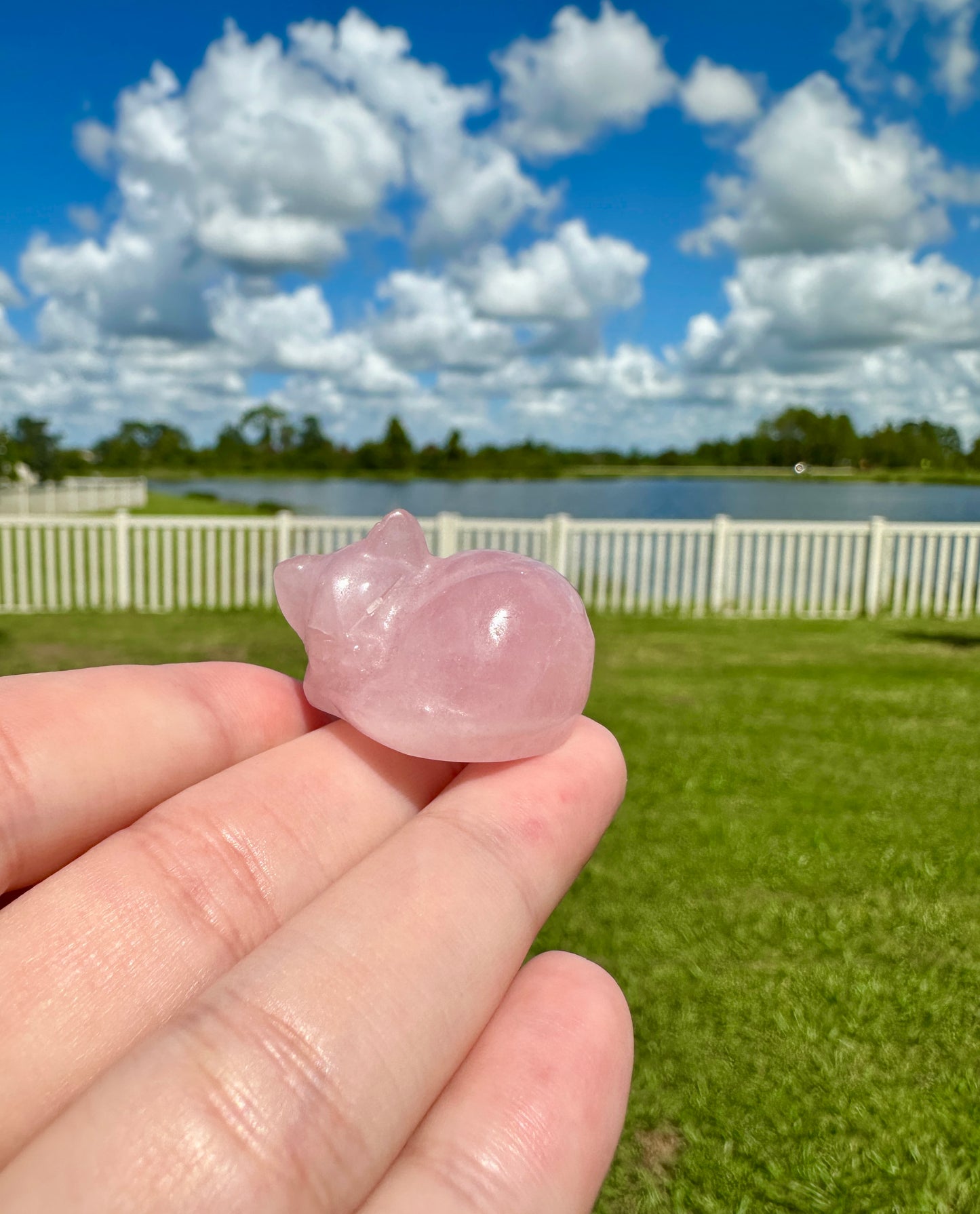 Rose Quartz Sleeping Cat Carving for Home Decor | Natural Stone Healing Crystal Figurine | Spiritual Animal Totem Gift