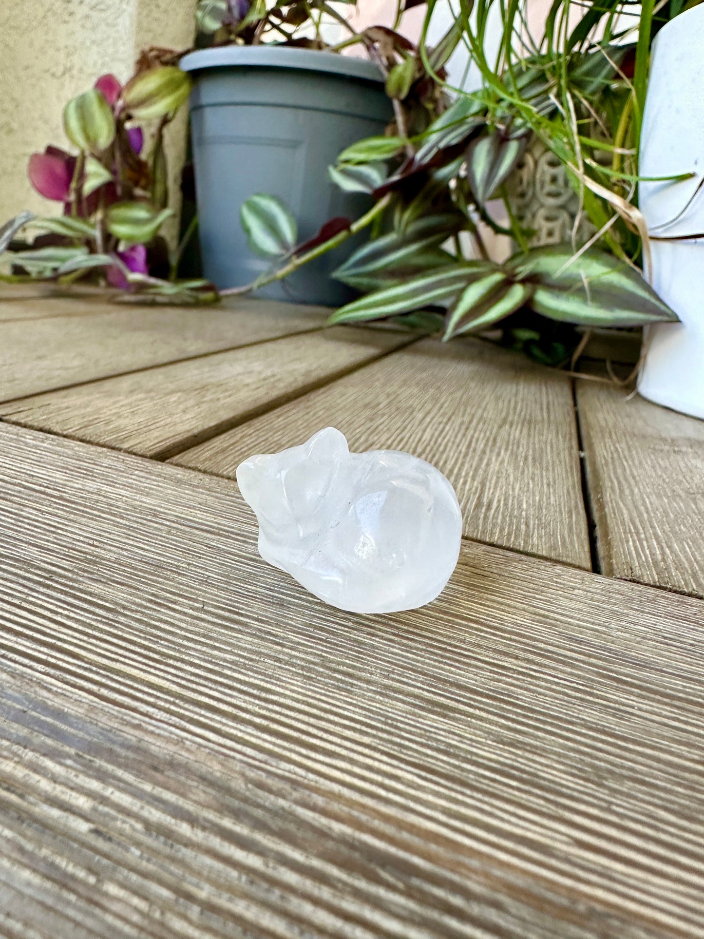 Clear Quartz Sleeping Cat Carving for Home Decor | Natural Healing Crystal Figurine | Spiritual Animal Totem | Crystal Gift Idea