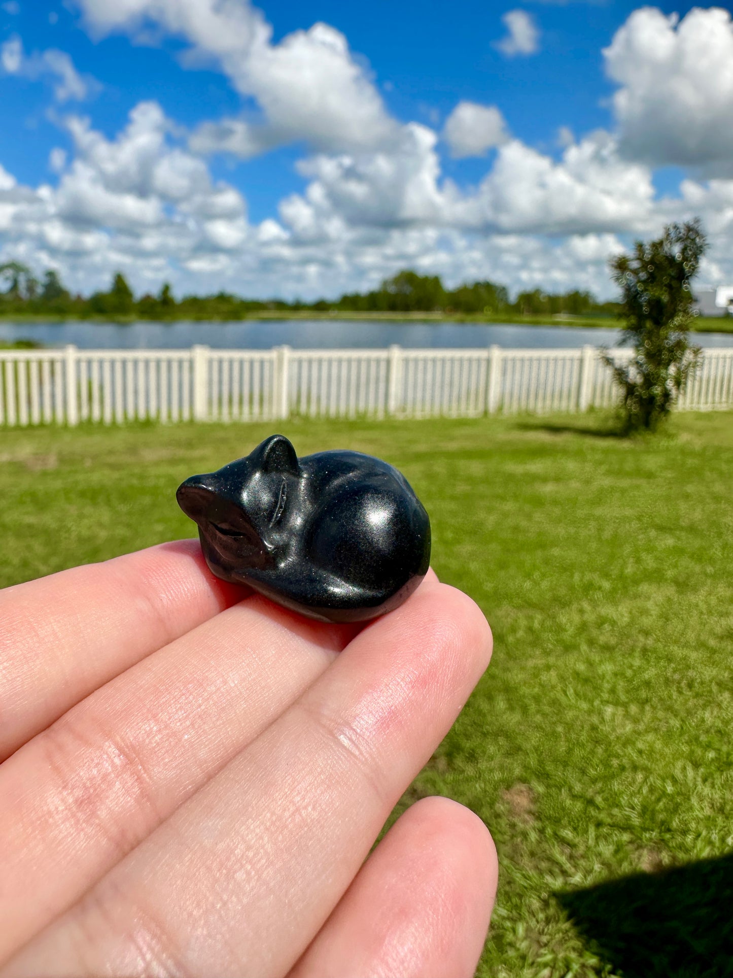 Black Obsidian Sleeping Cat Carving for Home Decor | Natural Healing Crystal Figurine | Spiritual Animal Totem | Protective Stone Gift