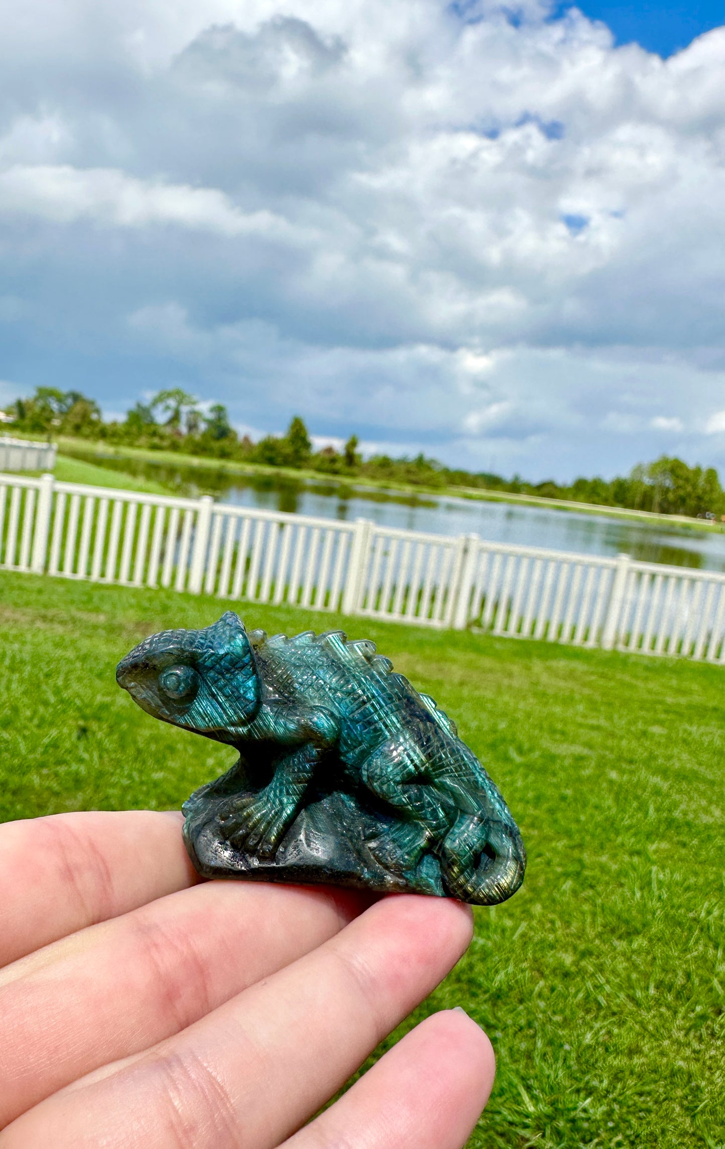 Labradorite Chameleon Figurine, Unique Crystal Animal Sculpture, Healing Labradorite Decor, Spiritual Gift for Crystal Lovers