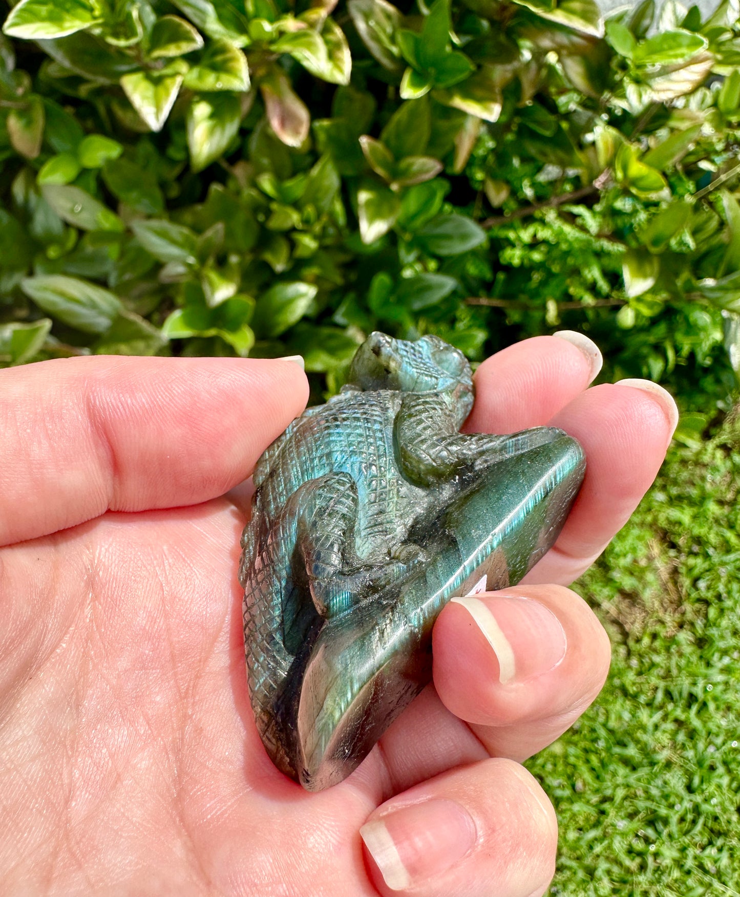 Labradorite Chameleon Figurine, Unique Crystal Animal Sculpture, Healing Labradorite Decor, Spiritual Gift for Crystal Lovers