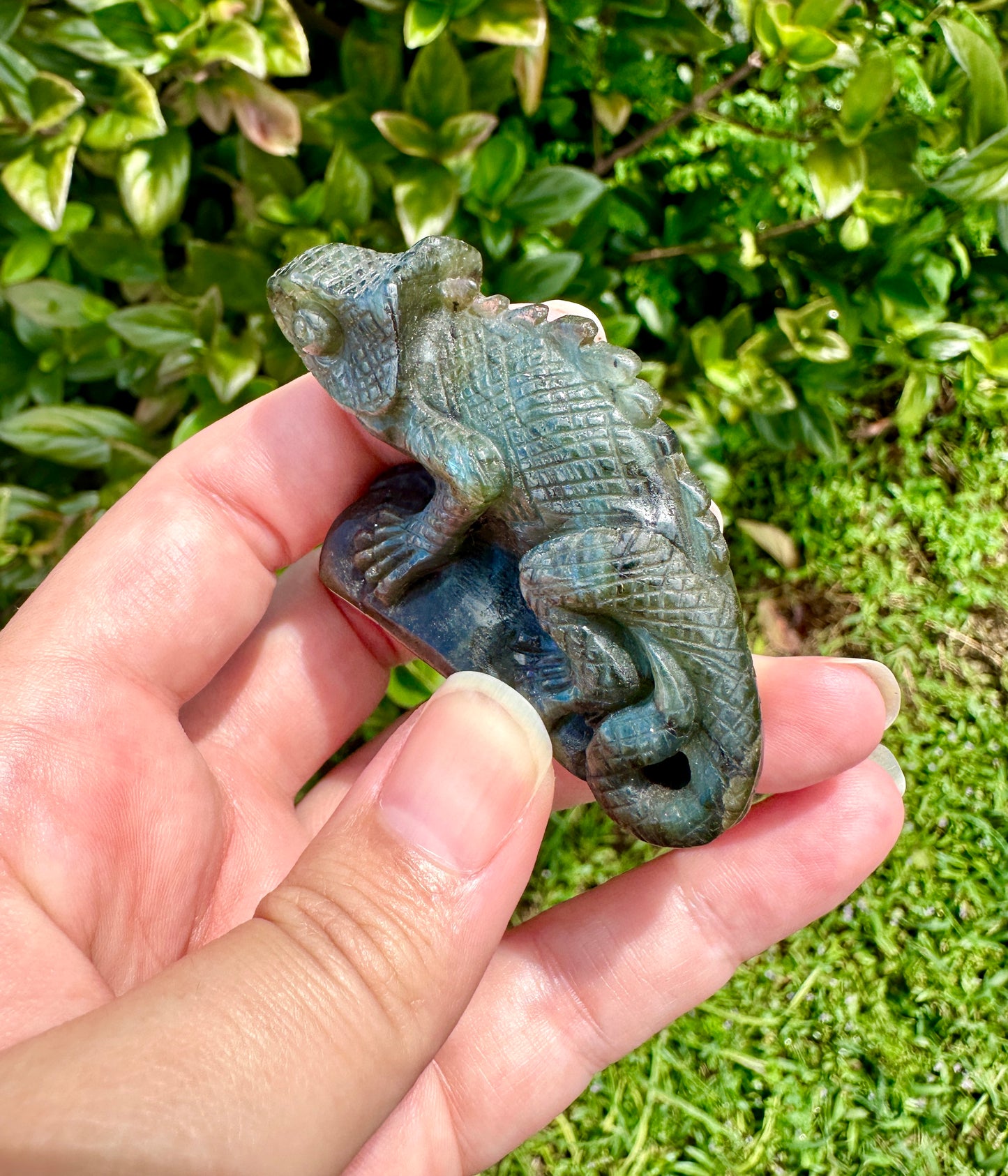 Labradorite Chameleon Figurine, Unique Crystal Animal Sculpture, Healing Labradorite Decor, Spiritual Gift for Crystal Lovers