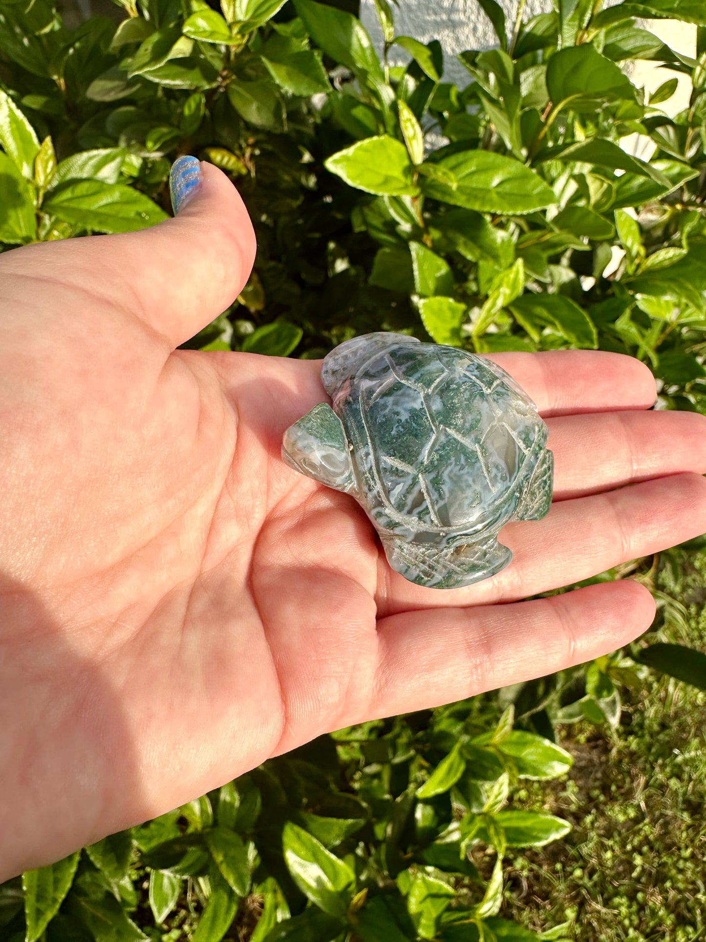 Druzy Moss Agate Turtle Carving - Unique Handcrafted Gemstone Decor for Home and Office, Perfect Gift for Nature and Turtle Lovers