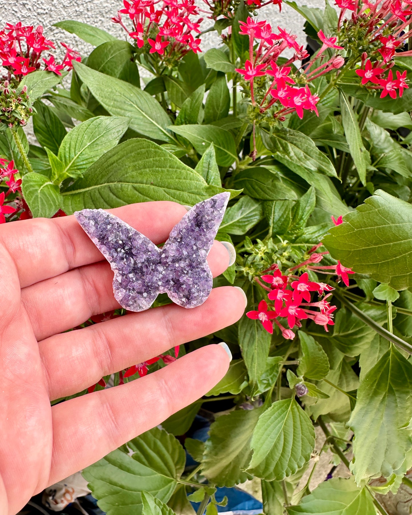 Uruguayan Amethyst Druzy Butterfly - Captivating Gemstone Art for Tranquility and Spiritual Awakening, Perfect for Collectors and Home Decor