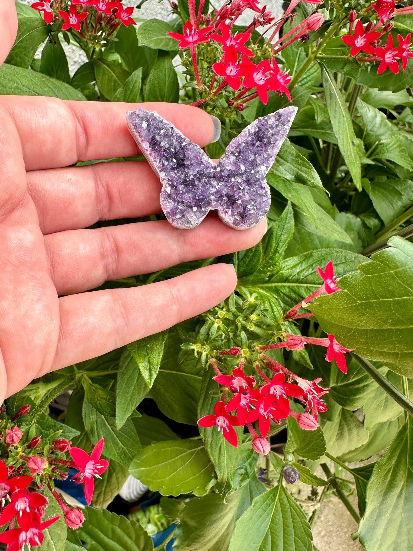 Uruguayan Amethyst Druzy Butterfly - Captivating Gemstone Art for Tranquility and Spiritual Awakening, Perfect for Collectors and Home Decor