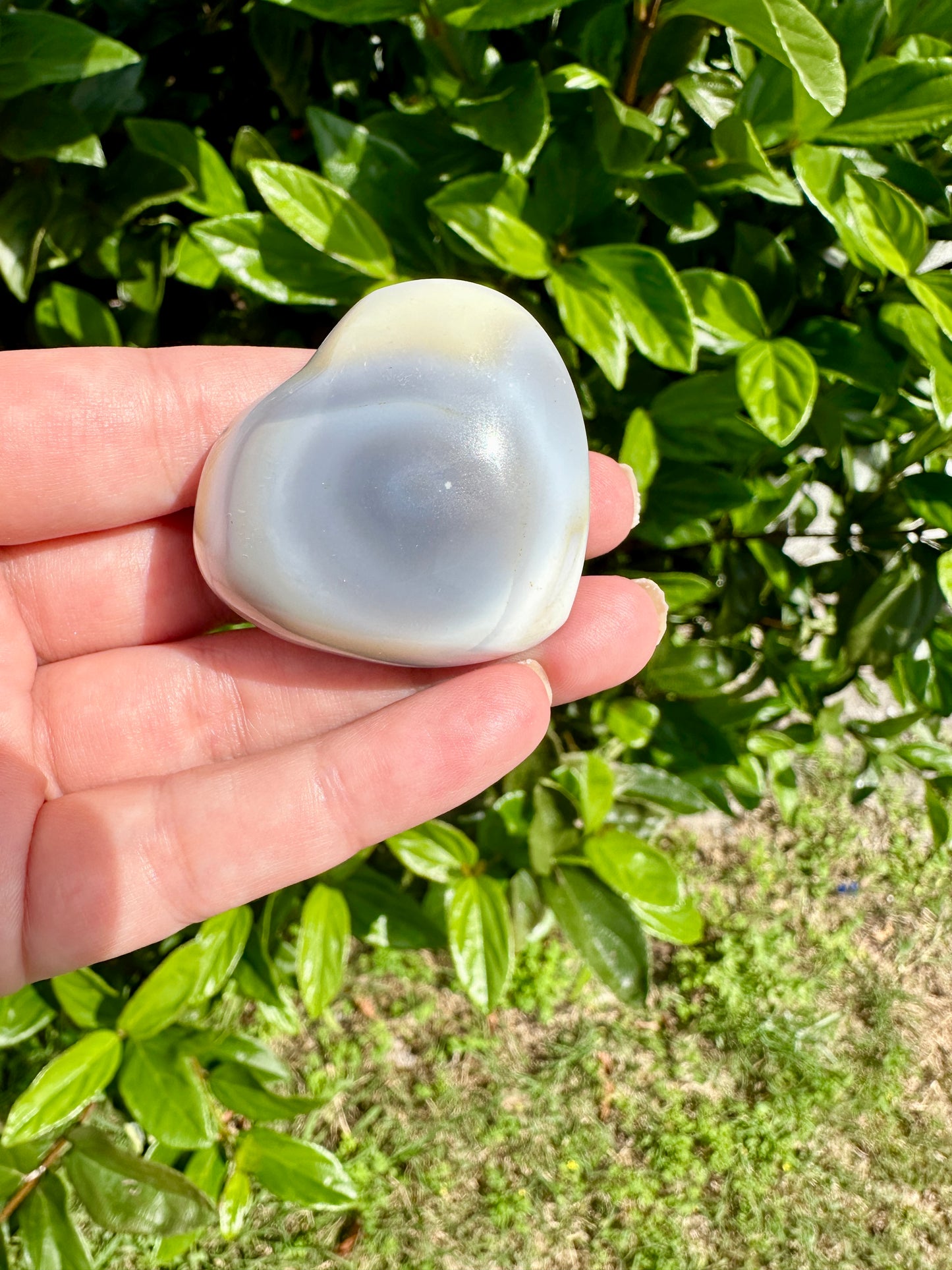 Orca Agate Heart - Dive into Emotional Healing and Oceanic Serenity, Perfect for Love and Calmness, Ideal for Meditation and Romantic Decor