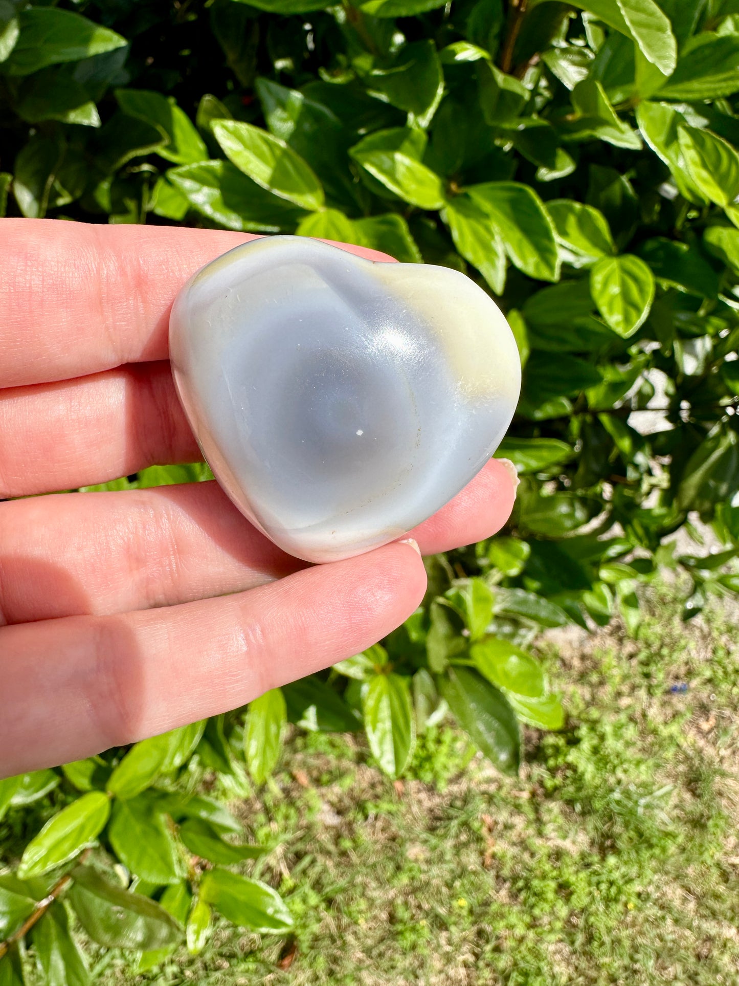 Orca Agate Heart - Dive into Emotional Healing and Oceanic Serenity, Perfect for Love and Calmness, Ideal for Meditation and Romantic Decor