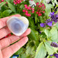 Orca Agate Heart - Dive into Emotional Healing and Oceanic Serenity, Perfect for Love and Calmness, Ideal for Meditation and Romantic Decor