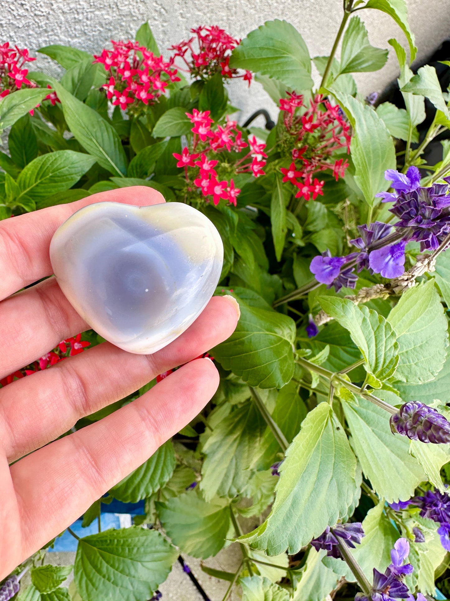 Orca Agate Heart - Dive into Emotional Healing and Oceanic Serenity, Perfect for Love and Calmness, Ideal for Meditation and Romantic Decor