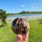 Stunning Black Opal Sphere: Captivating Home Decor, Unique Gemstone Ball, Perfect for Collection or Gifting, Mystical Energy Crystal