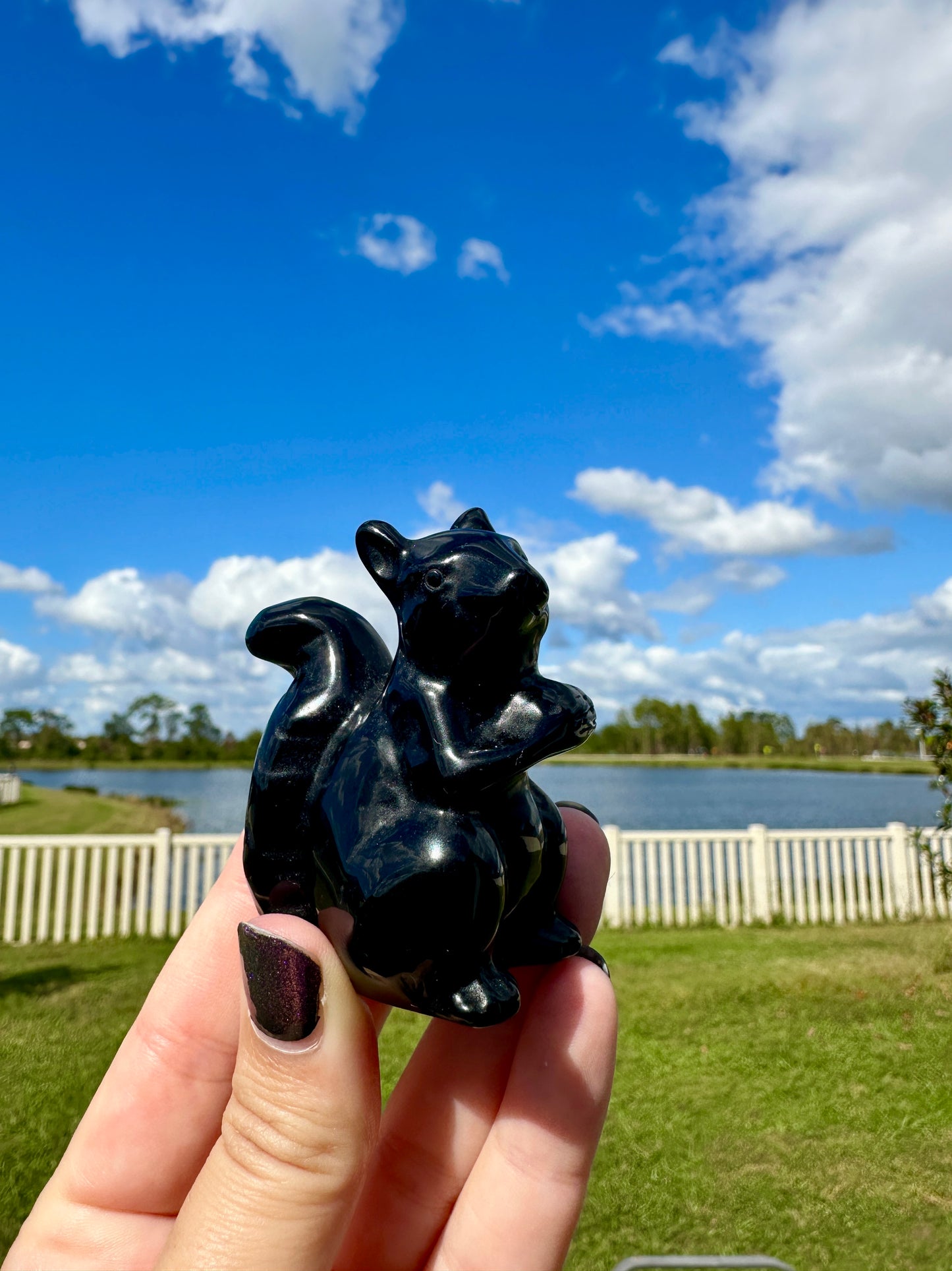 Black Obsidian Squirrel Figurine, Healing Crystal Squirrel Statue, Unique Gemstone Animal Sculpture, Perfect Gift for Nature Lovers