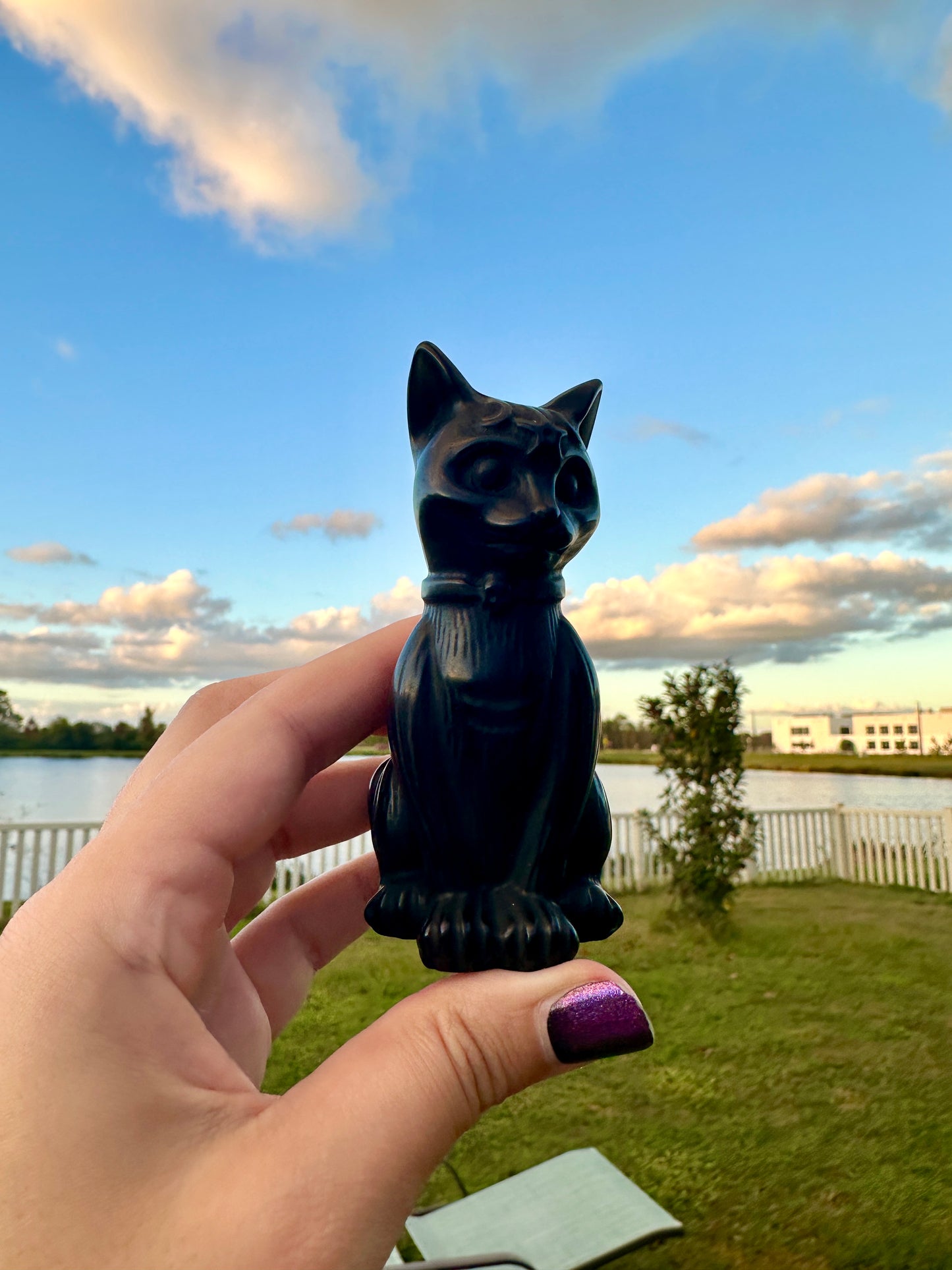 Black Obsidian Cat Carving, Healing Crystal Cat Figurine, Protective Obsidian Animal Statue, Unique Gift for Cat Lovers and Crystal Collectors