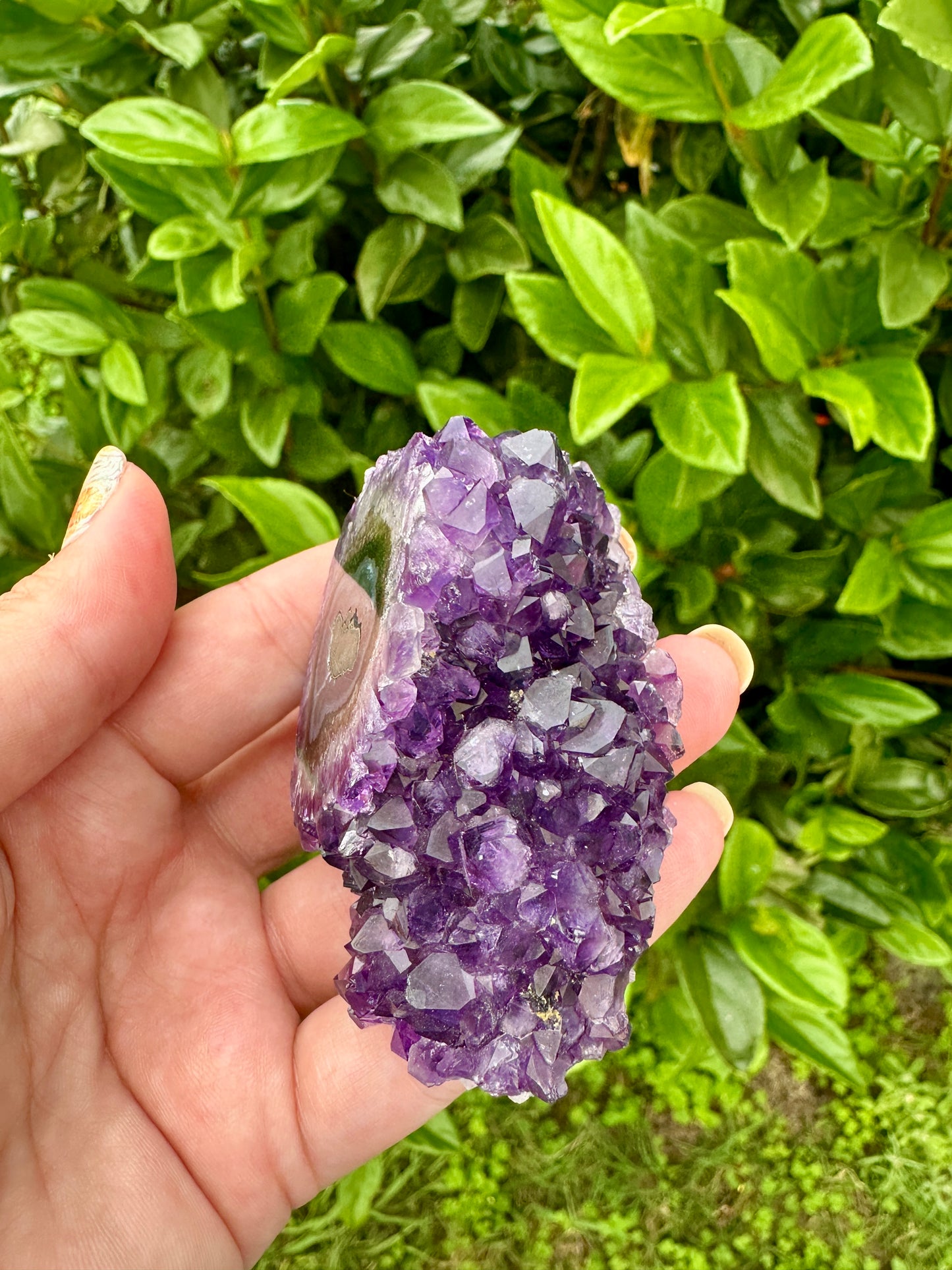 Uruguayan Amethyst Stalactite - A Majestic Natural Wonder for Collectors and Decor Enthusiasts