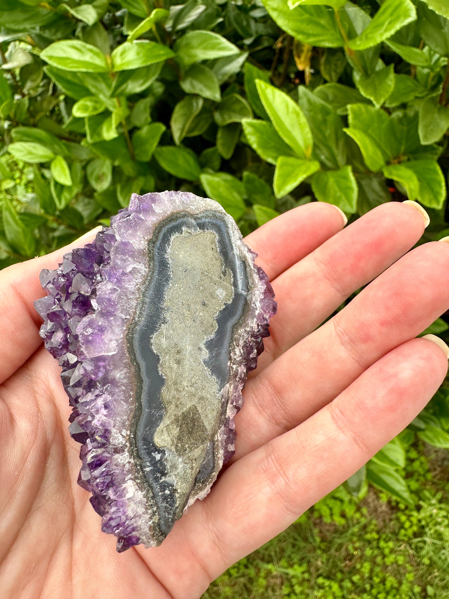 Uruguayan Amethyst Stalactite - A Majestic Natural Wonder for Collectors and Decor Enthusiasts