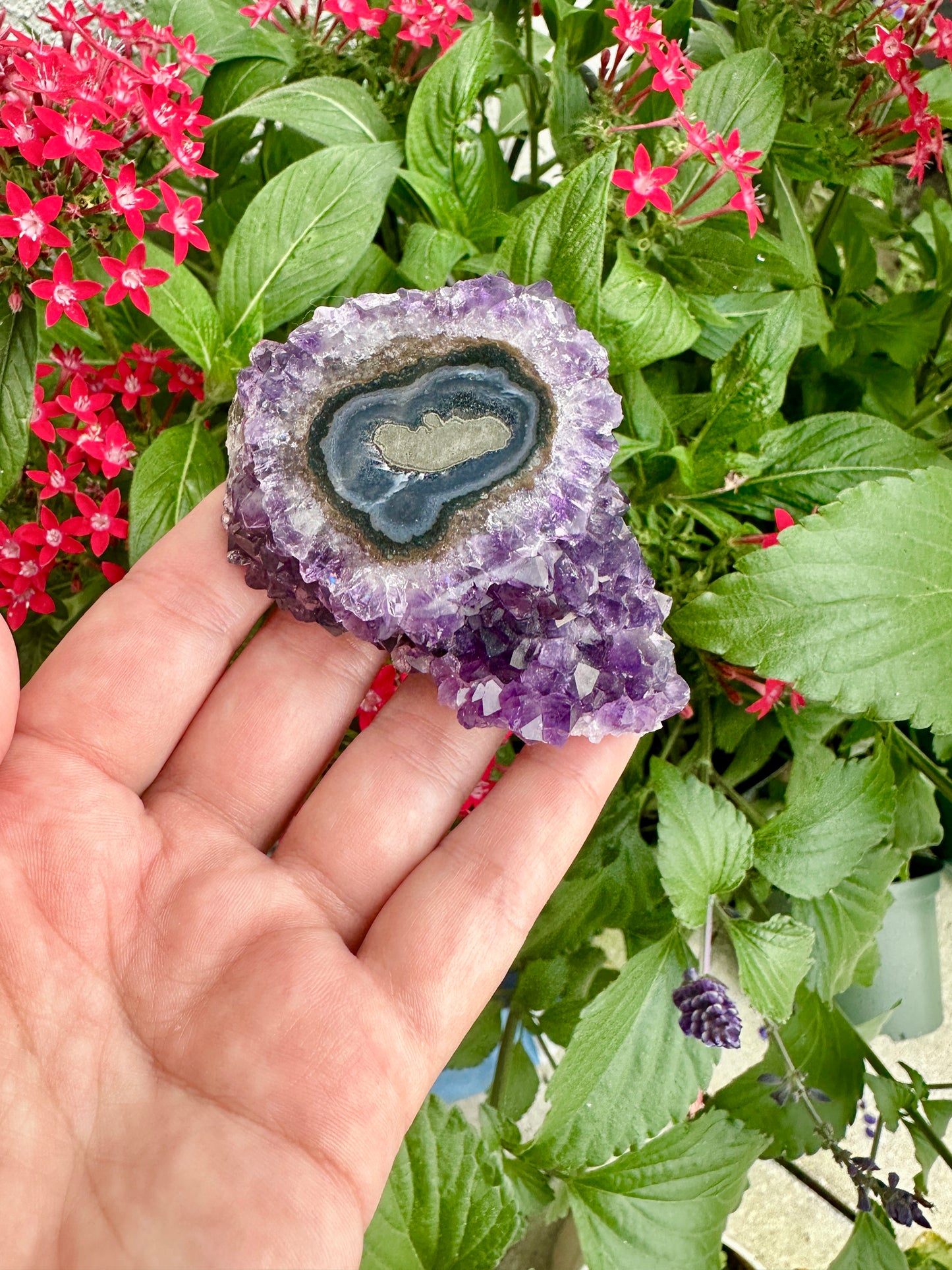 Uruguayan Amethyst Stalactite - A Majestic Natural Wonder for Collectors and Decor Enthusiasts