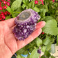 Uruguayan Amethyst Stalactite - A Majestic Natural Wonder for Collectors and Decor Enthusiasts