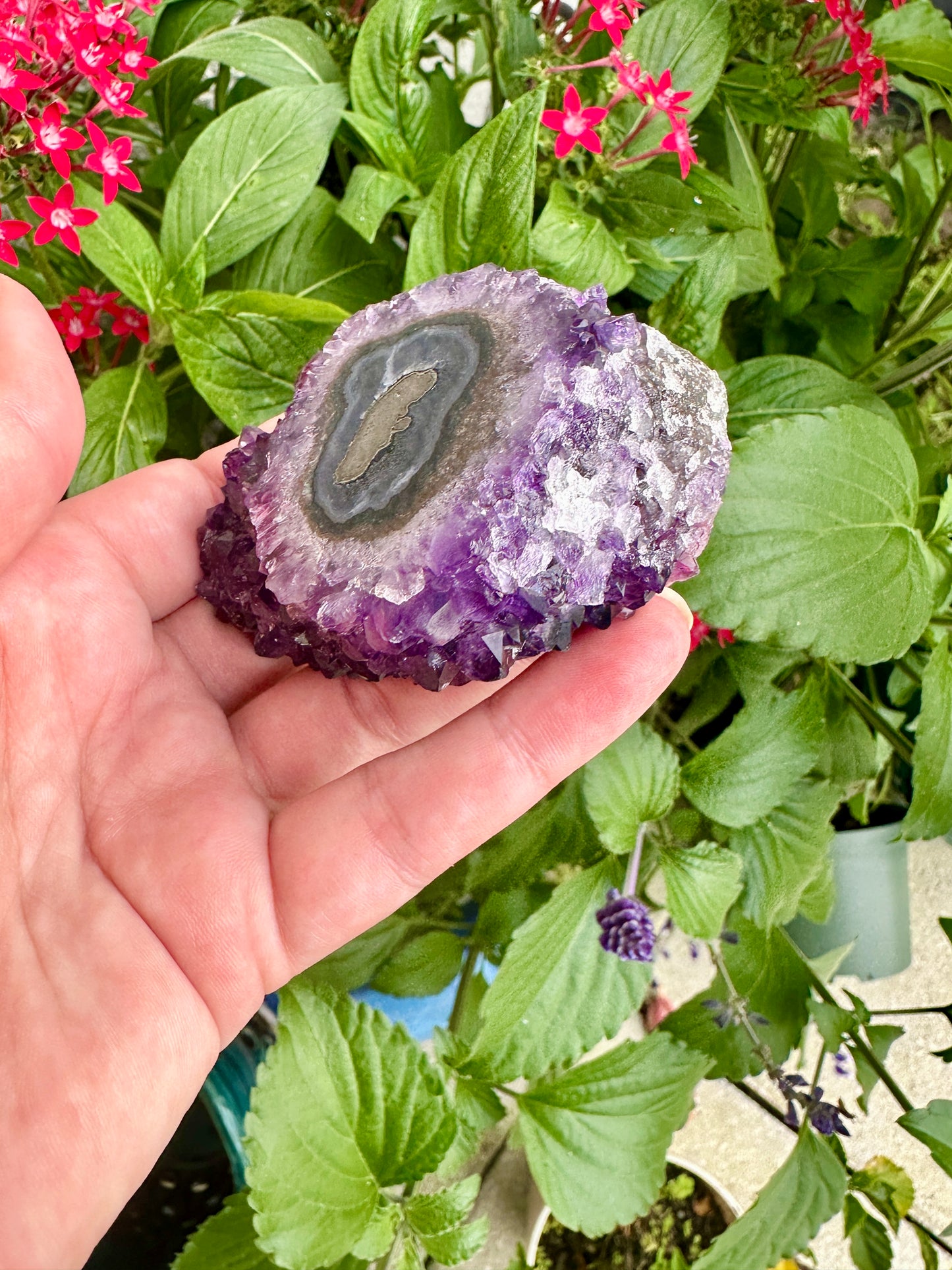 Uruguayan Amethyst Stalactite - A Majestic Natural Wonder for Collectors and Decor Enthusiasts