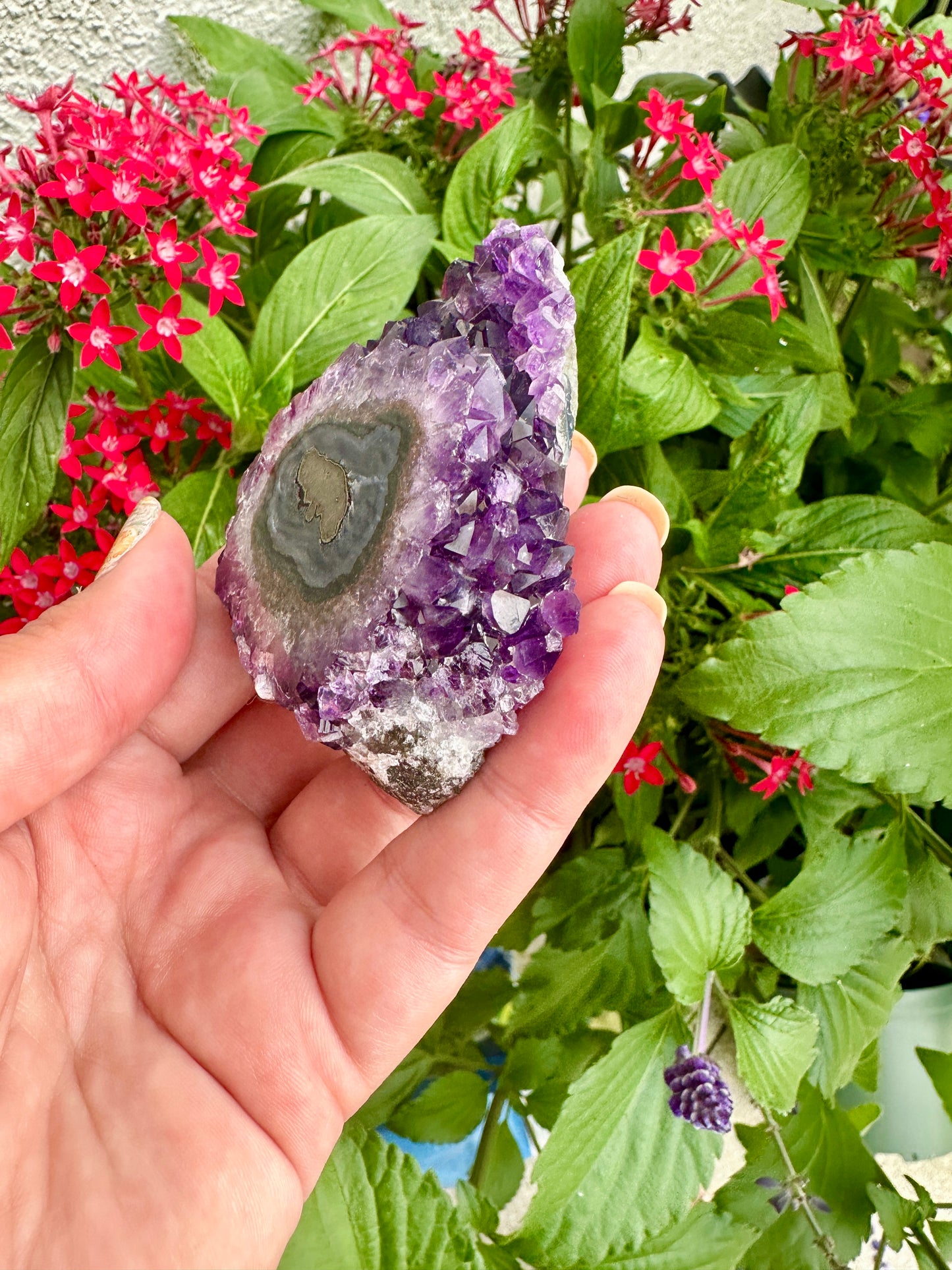 Uruguayan Amethyst Stalactite - A Majestic Natural Wonder for Collectors and Decor Enthusiasts