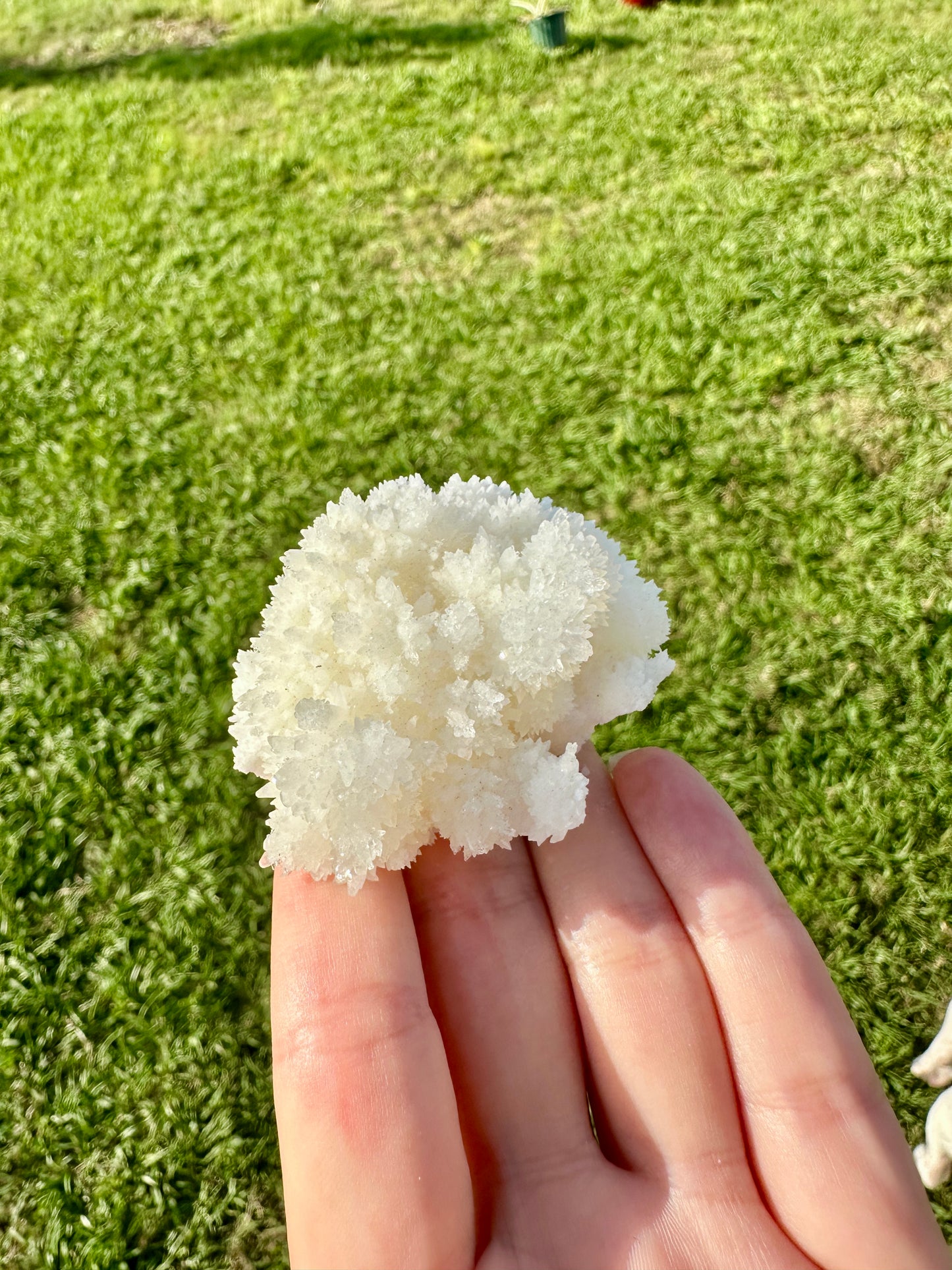 Aragonite Specimen - Stunning Natural Crystal for Collection, Perfect for Home Decor and Meditation, Enhances Earth Connection