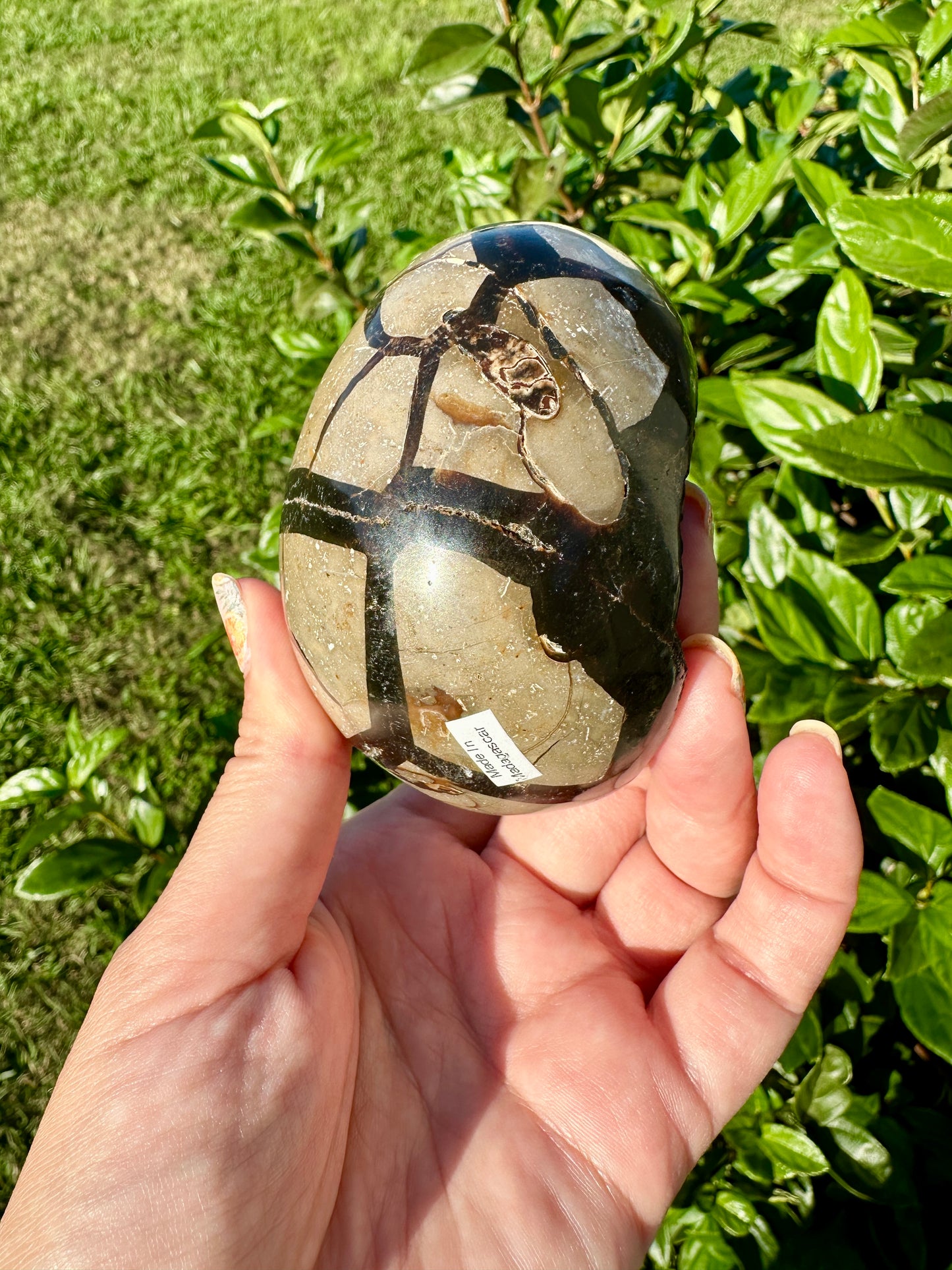 Septarian Druzy Egg: Striking Natural Geode Egg with Crystalline Center, Perfect Home Decor or Gift for Collectors and Geology Enthusiasts