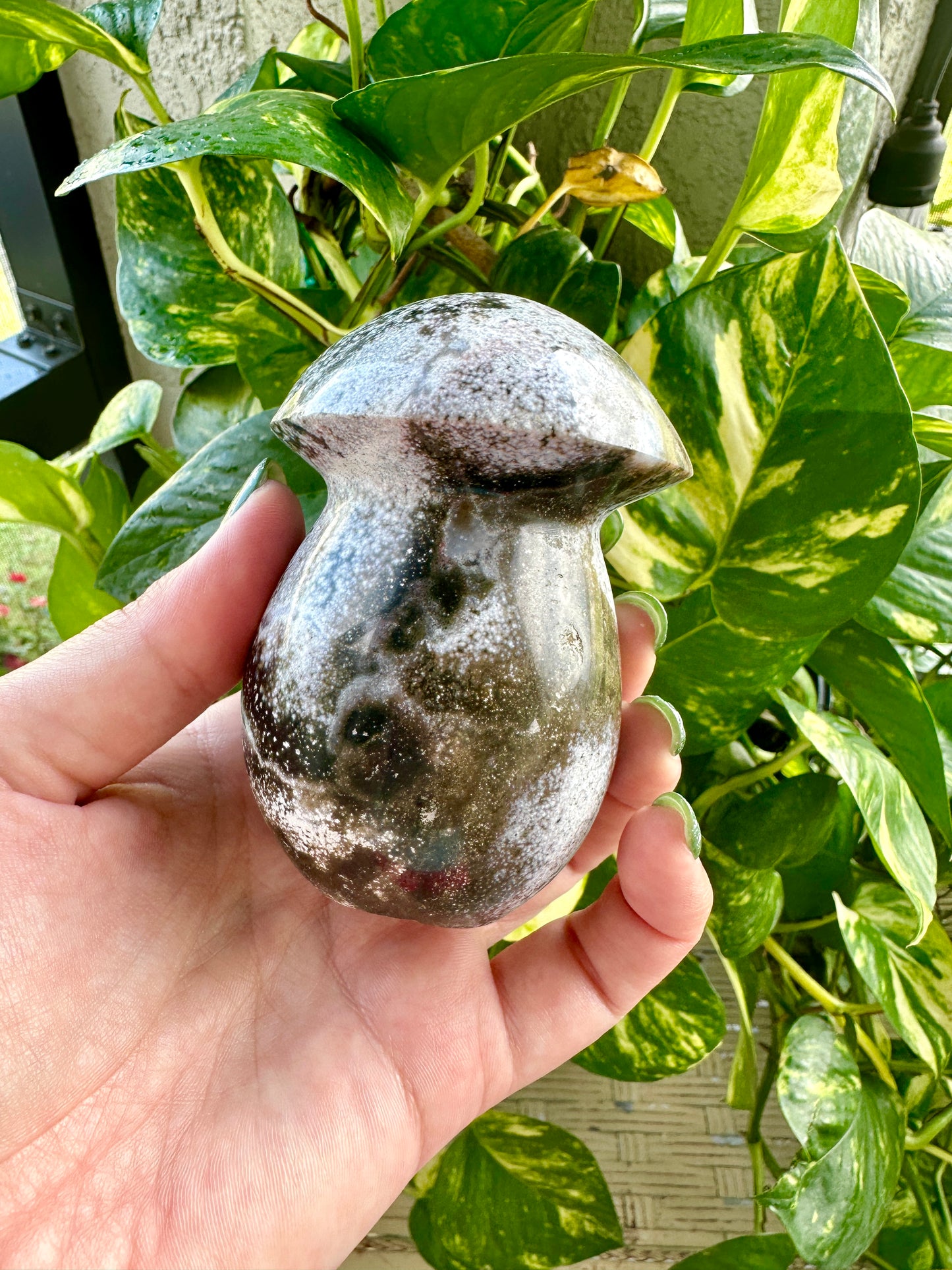 Ocean Jasper - Mushroom