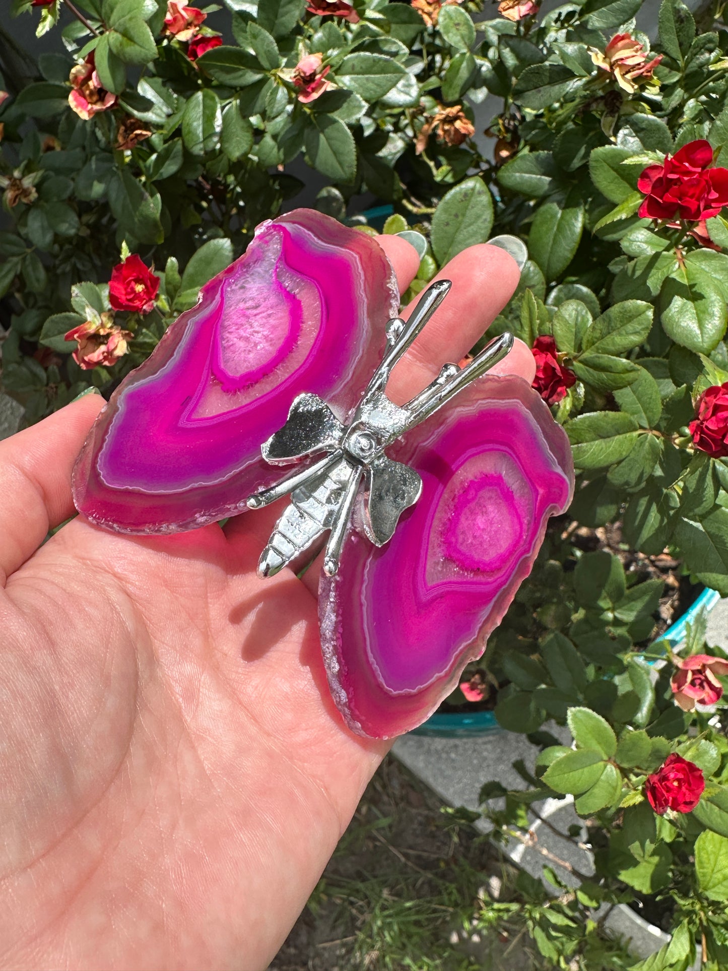 Agate - Butterfly