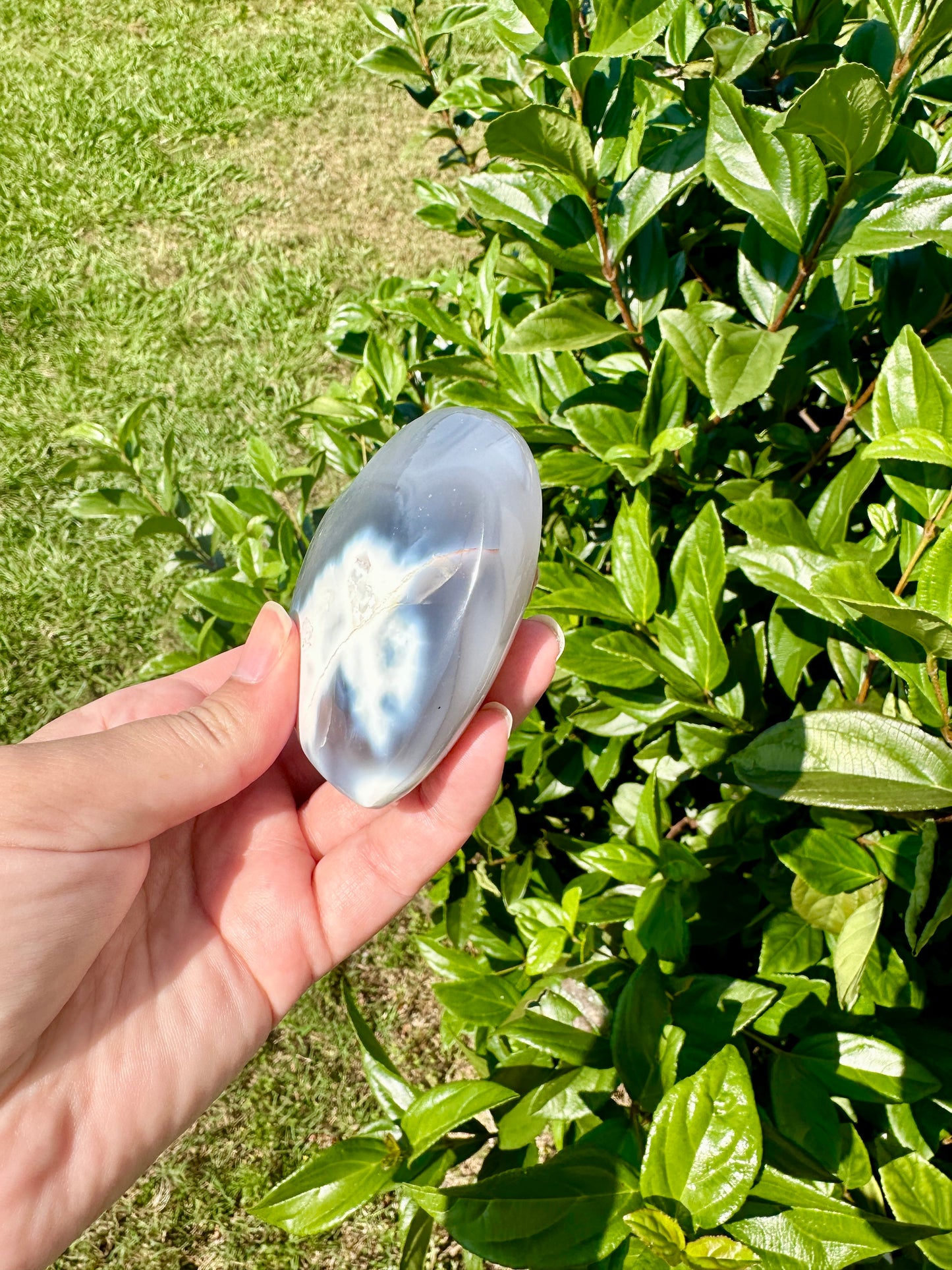 Orca Agate Heart - Dive into Emotional Healing and Oceanic Serenity, Perfect for Love and Calmness, Ideal for Meditation and Romantic Decor