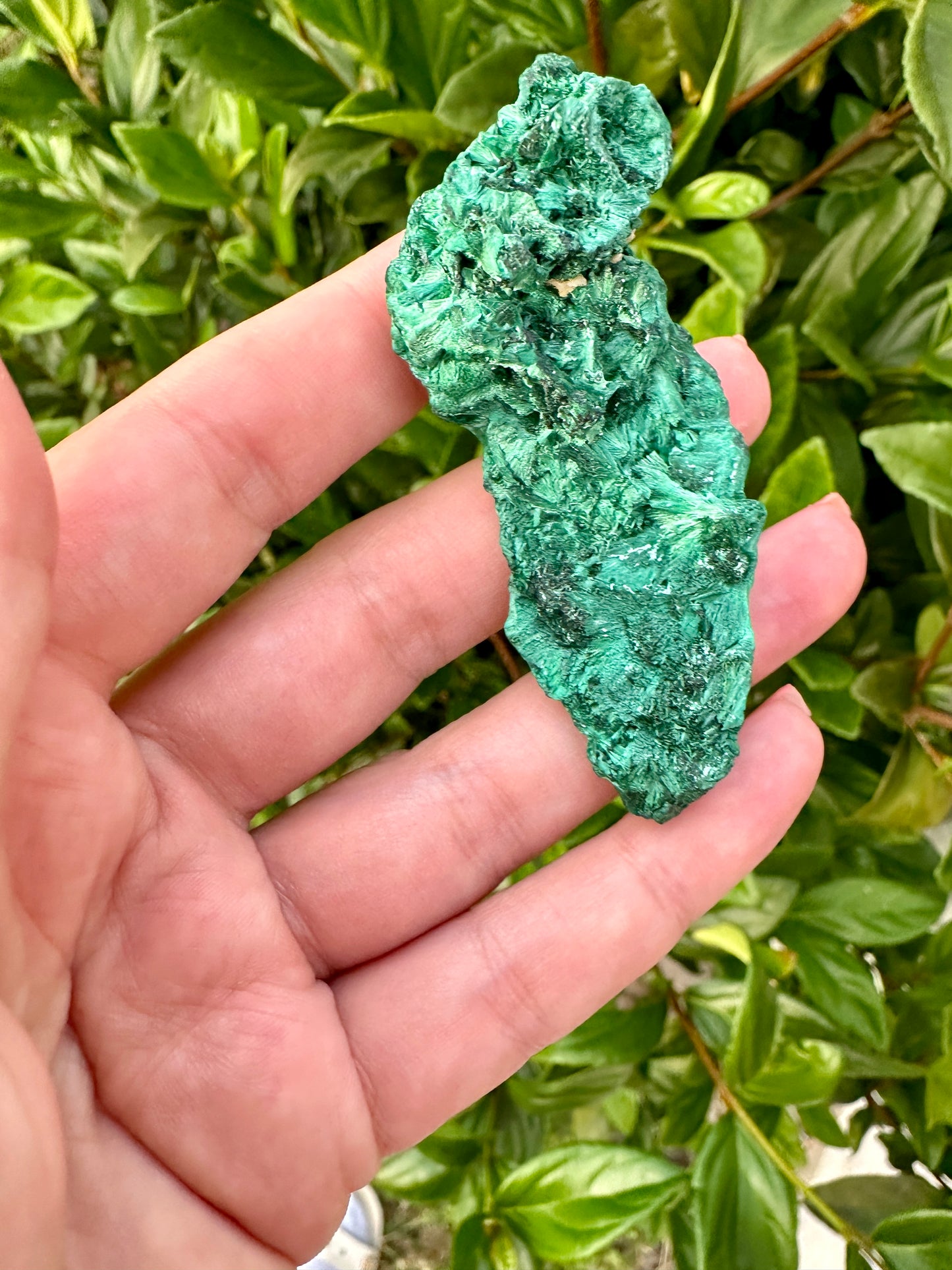 Fibrous Malachite Specimen - Stunning Natural Mineral Display, Perfect for Collectors and Home Decor, Rich Green Textures