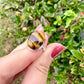 Sterling Silver Tiger's Eye Ring, Size 5.5 Handmade Gemstone Jewelry, Natural Stone Boho Ring, Unique Gift for Women or Men