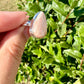 Elegant Sterling Silver Scolecite Ring - Size 8: Unique High Vibration Stone, Perfect for Spiritual Enhancement, Stylish Design