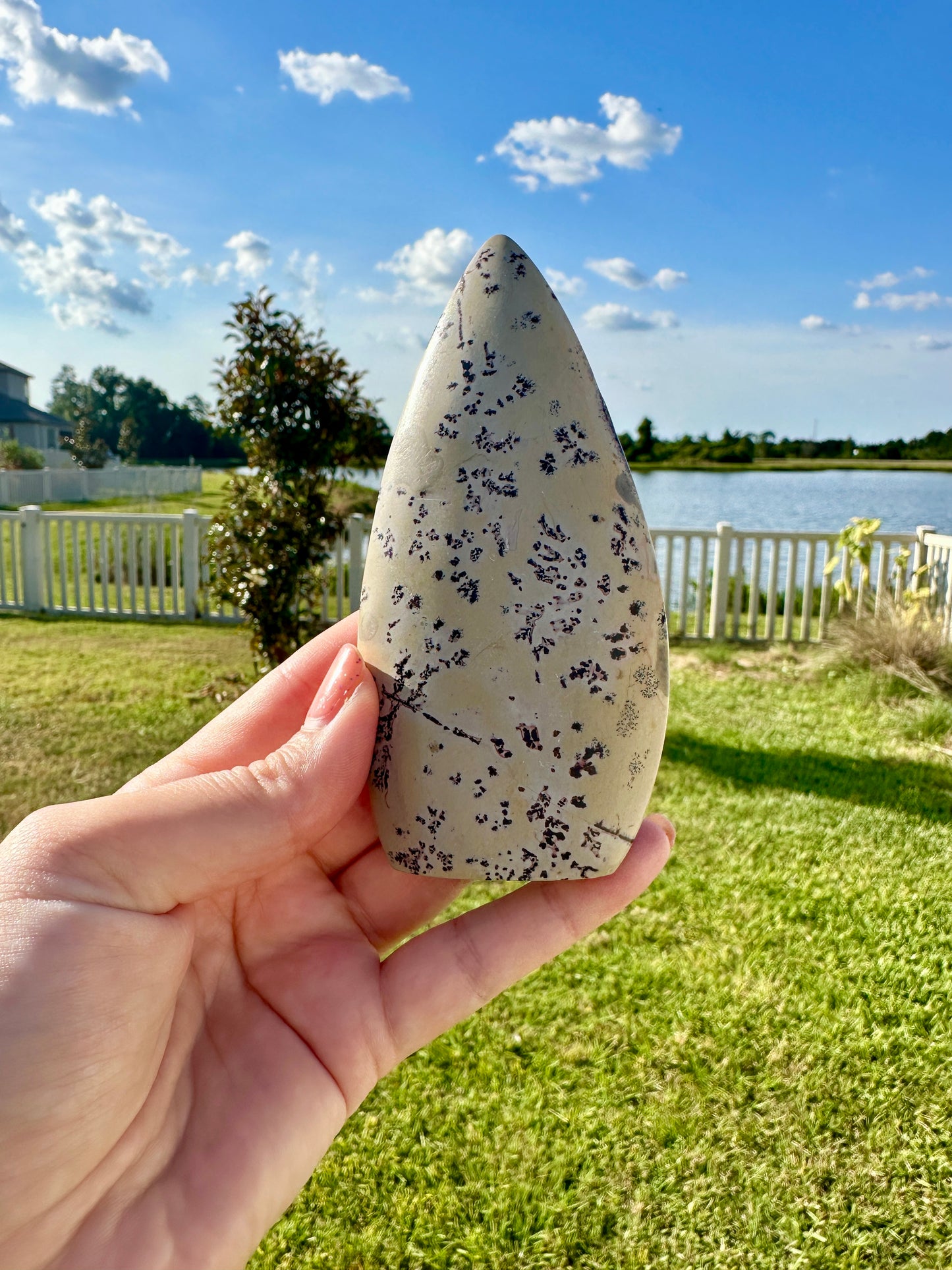 Earthy Tone Stunning Picture Jasper Freeform: Unique Landscape Patterns, Natural Earth Tones, Ideal for Decor and Healing