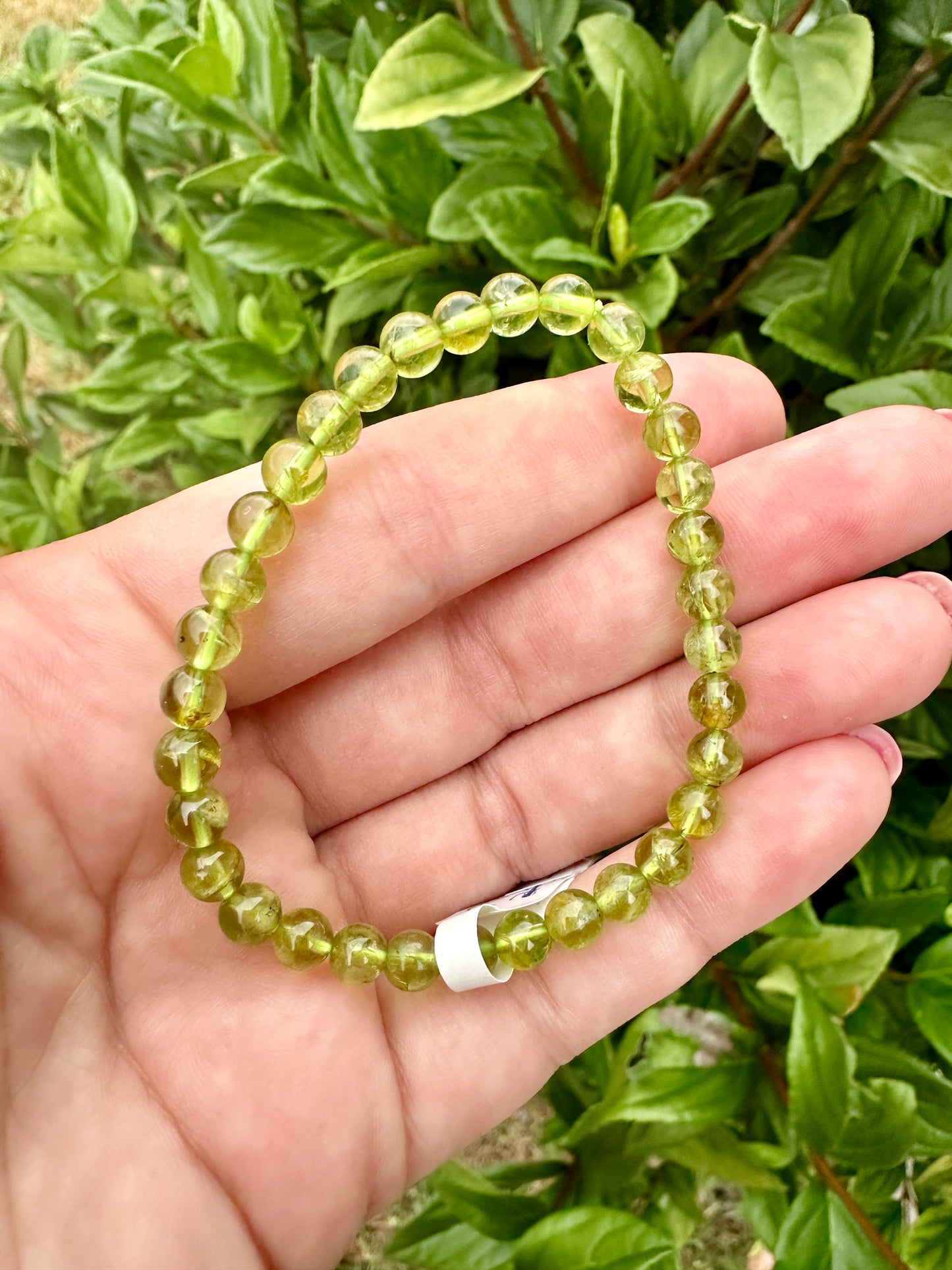 Elegant 5.5mm Prehnite Bead Bracelet – Natural Stone Stretch Bracelet for Healing and Style – Unisex Jewelry Gift