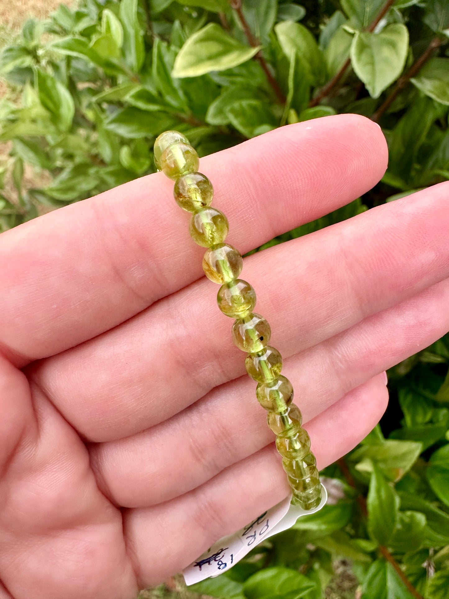 Elegant 5.5mm Prehnite Bead Bracelet – Natural Stone Stretch Bracelet for Healing and Style – Unisex Jewelry Gift