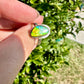 Ammolite Ring in Sterling Silver - Radiant Size 8  - A Dazzling Display of Color, Perfect for Adding a Touch of Elegance to Any Outfit