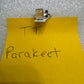 Parakeet1983