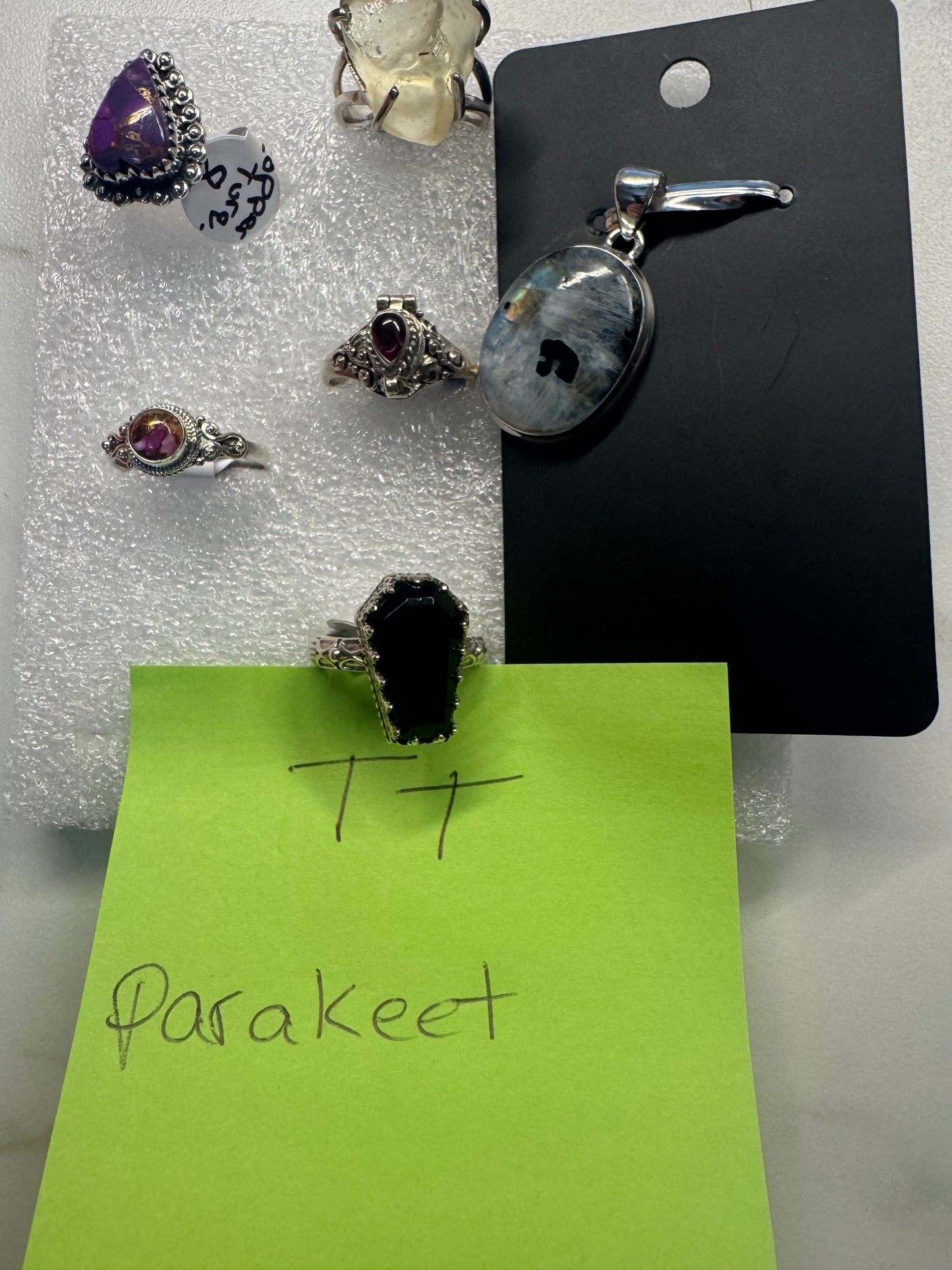 Parakeet1983