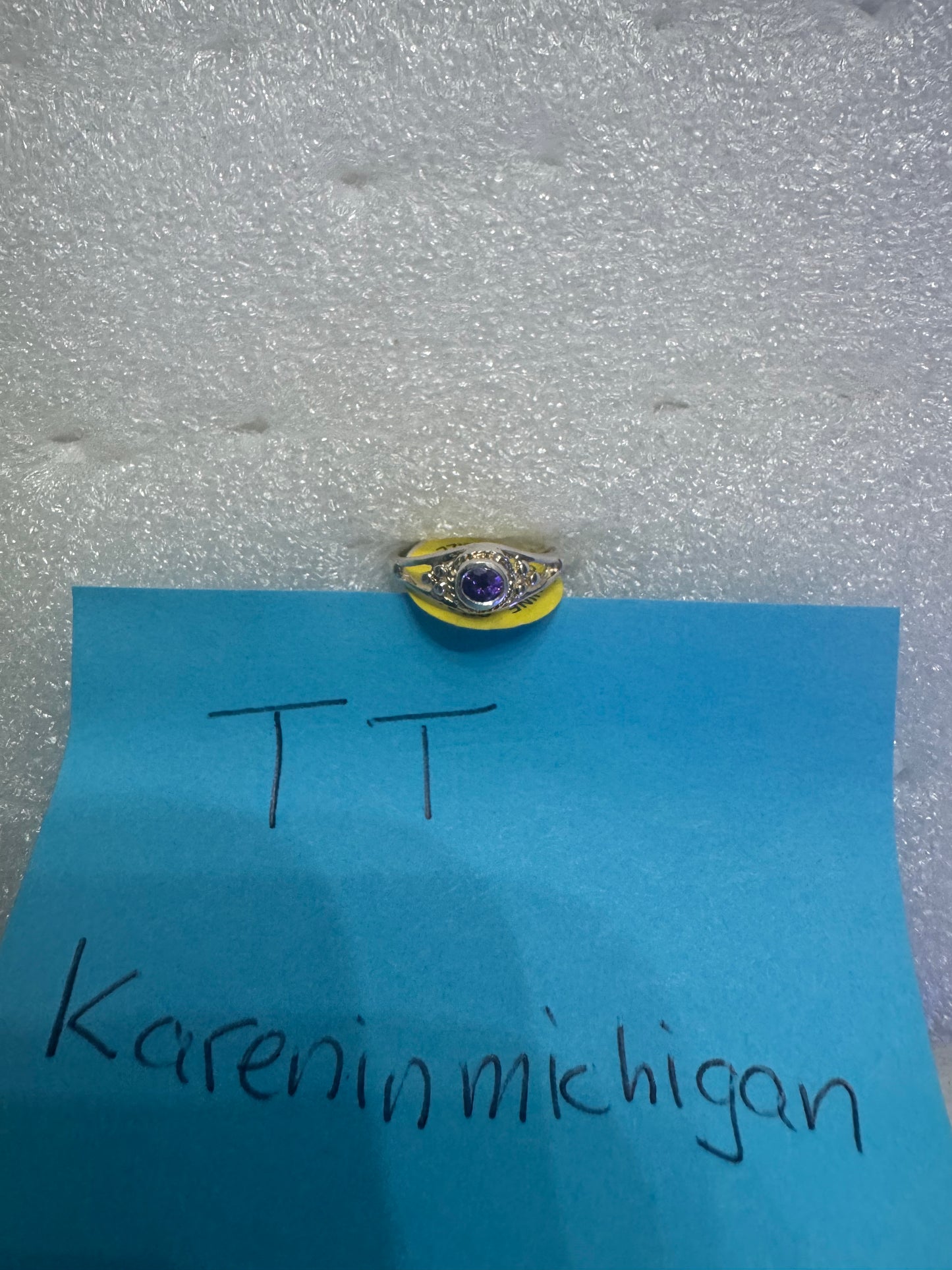 Kareninmichigan