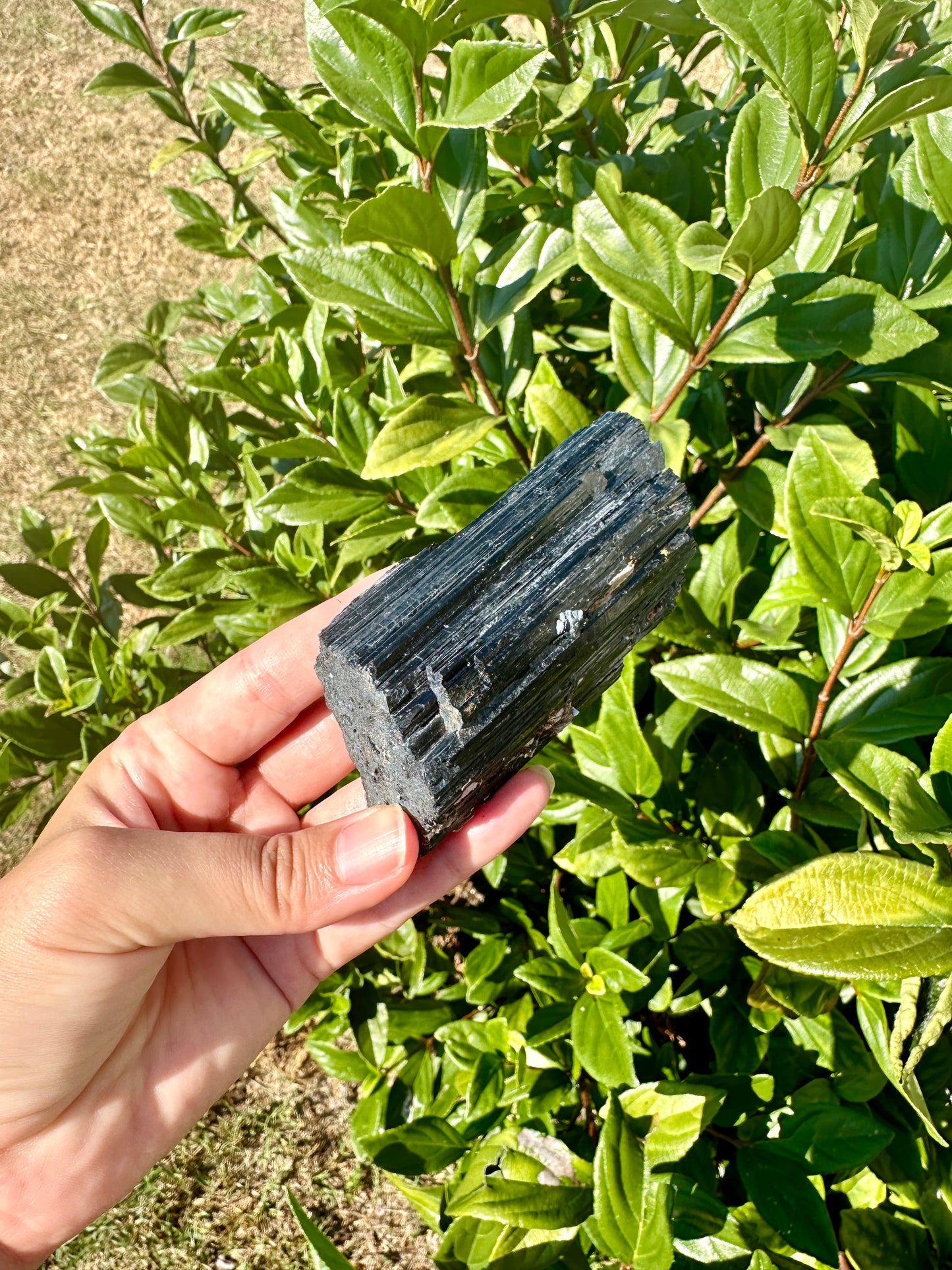 Raw Black Tourmaline Crystal - Natural Healing Stone - Protective Gemstone for Energy Clearing - Perfect Gift for Crystal Lovers